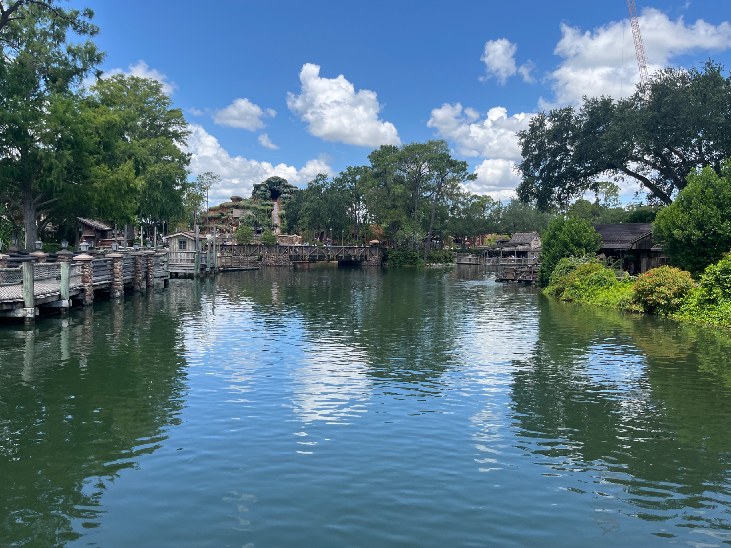 IMG_6002.jpeg