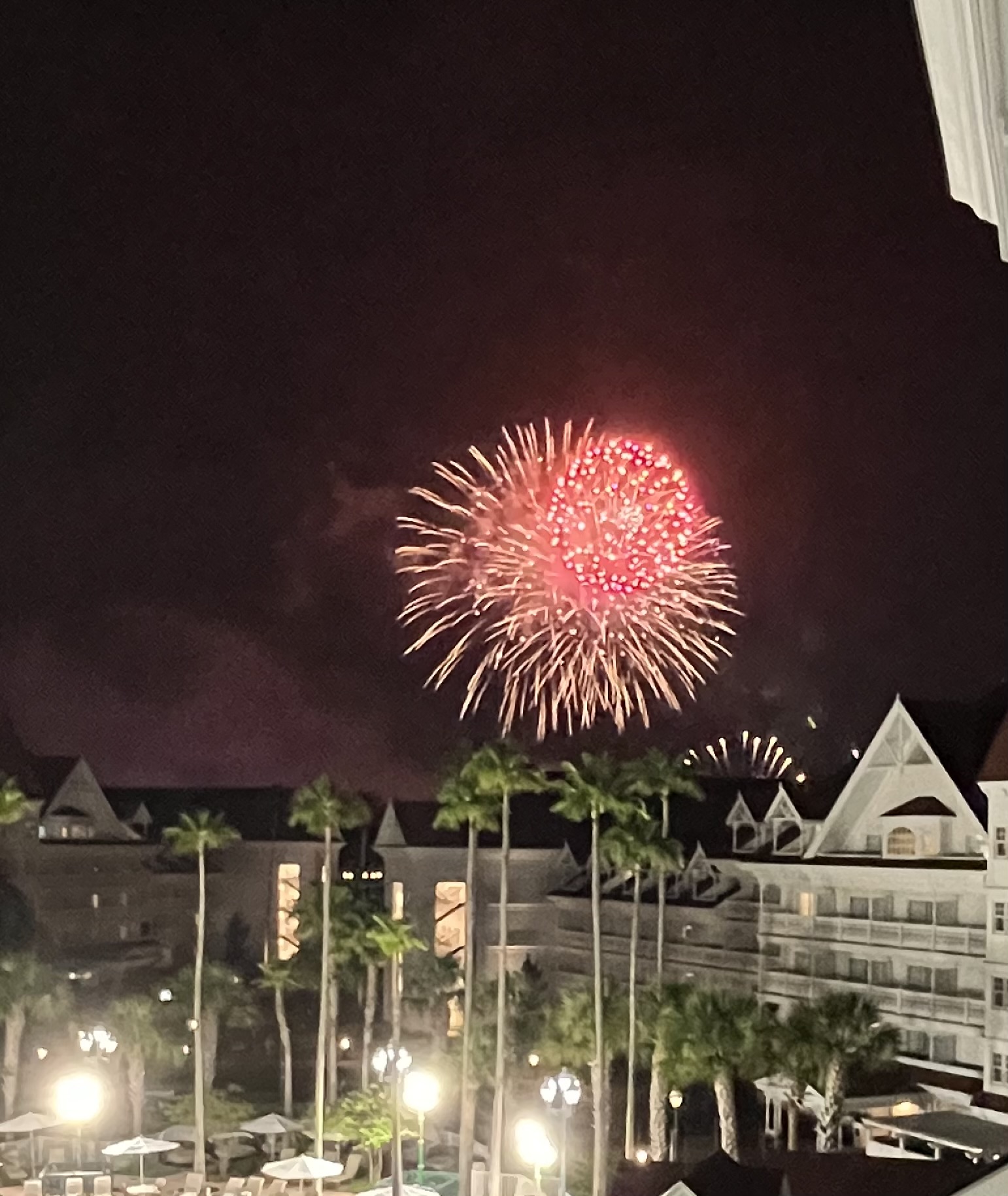 IMG_6557.jpeg