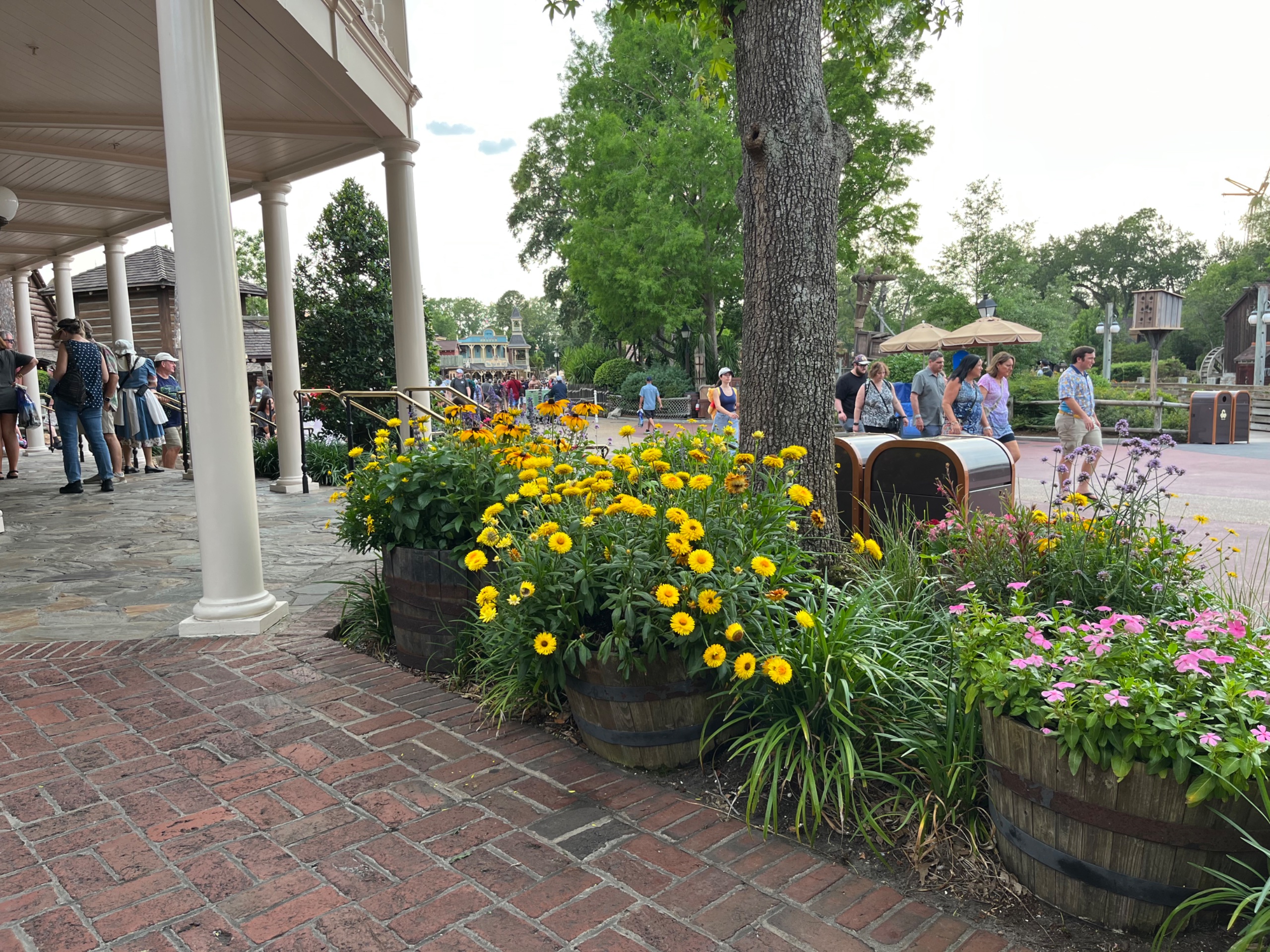 IMG_6780.jpeg