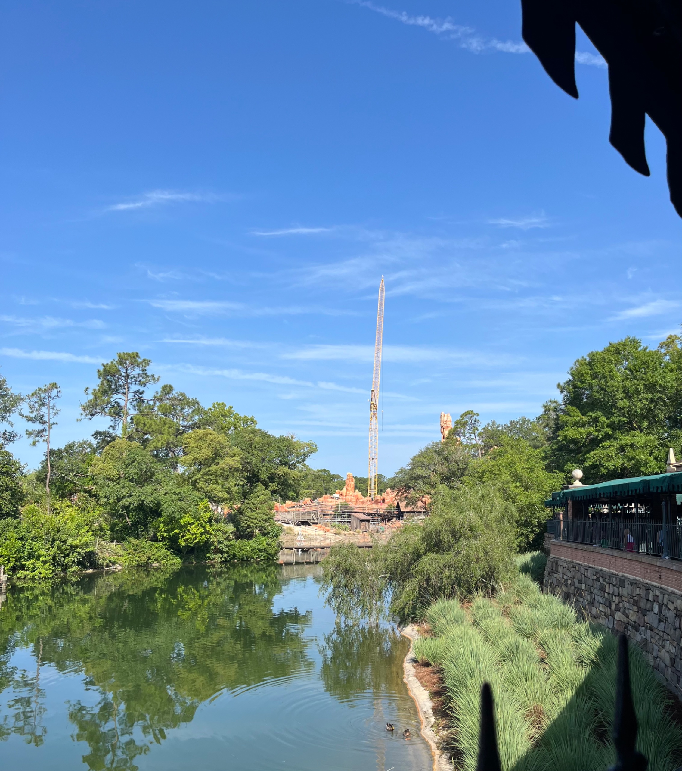 IMG_6817.jpeg