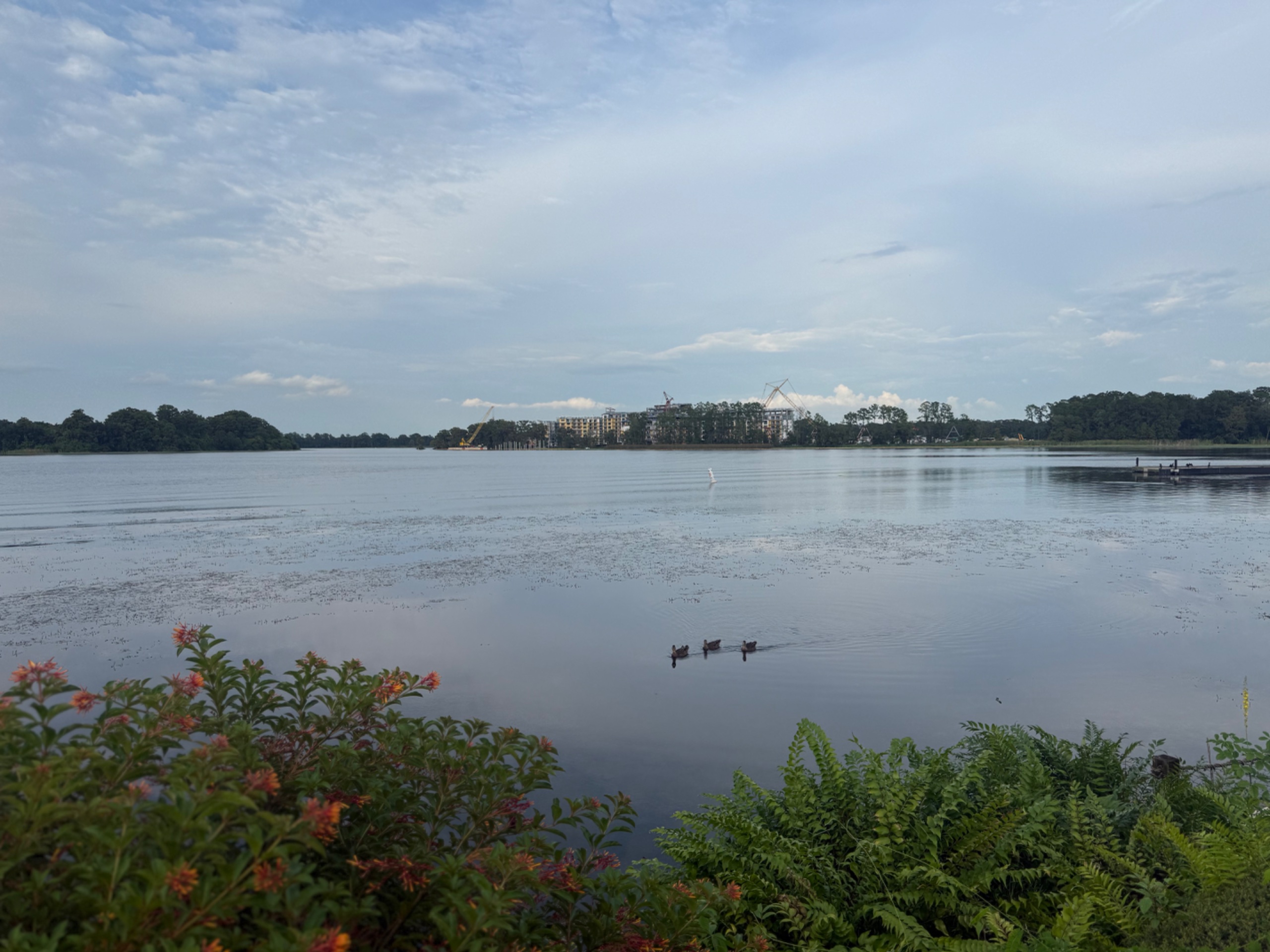 IMG_7024.jpeg