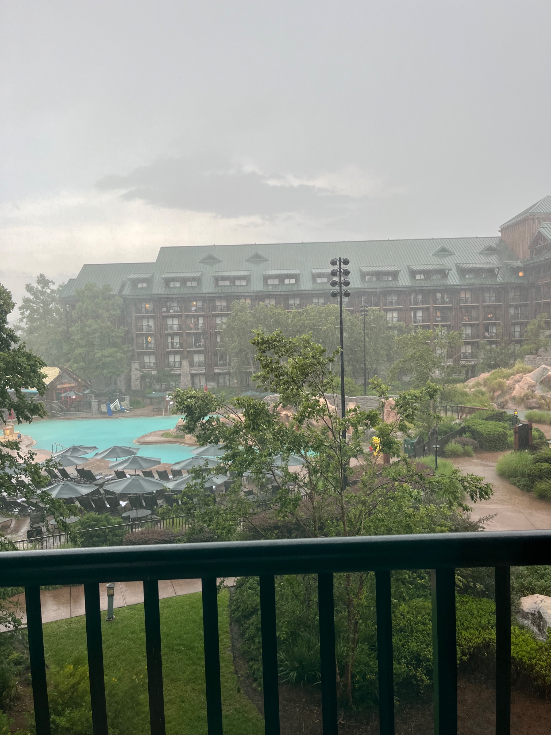 IMG_7065.jpeg