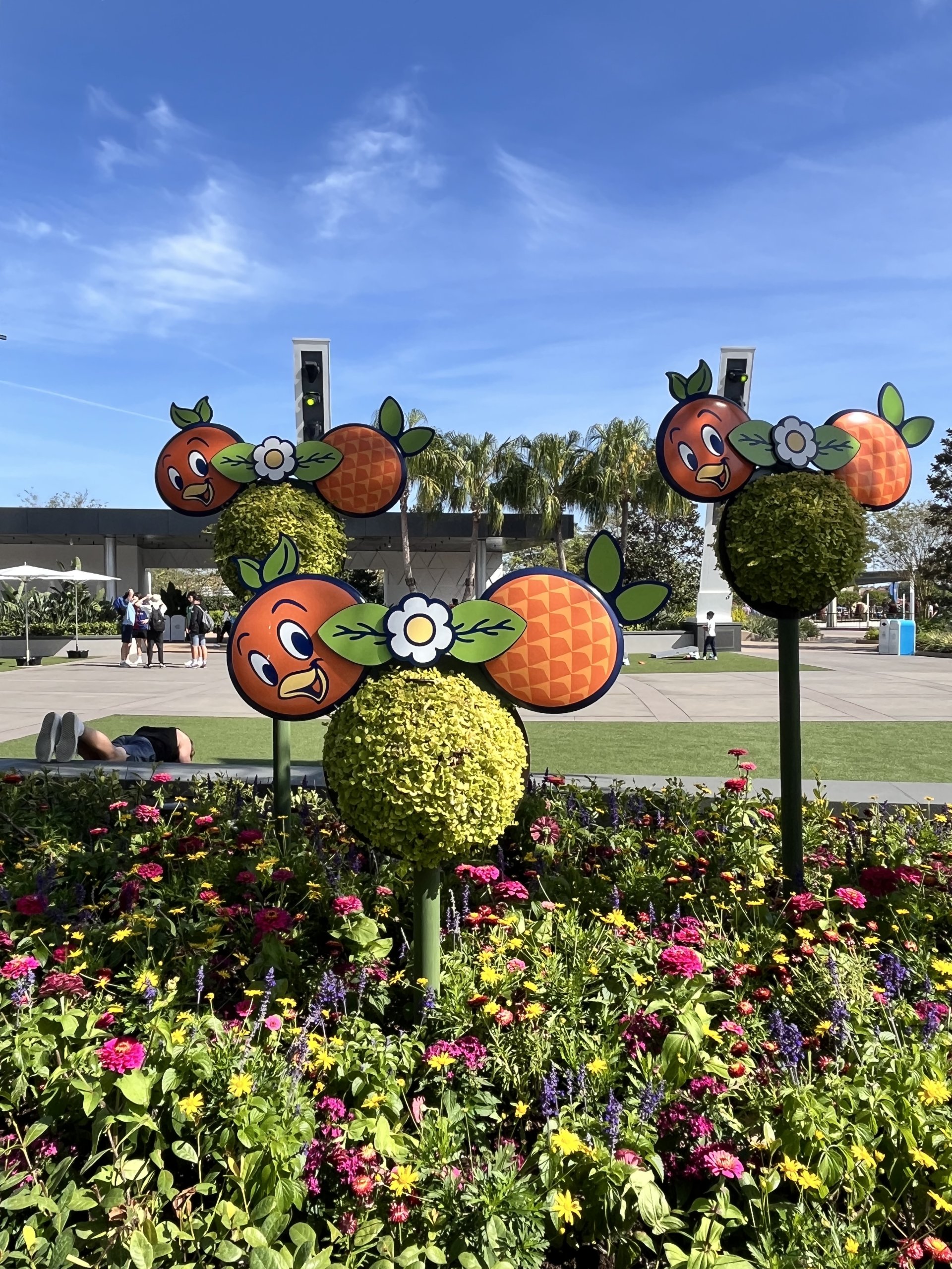 IMG_7071.jpeg