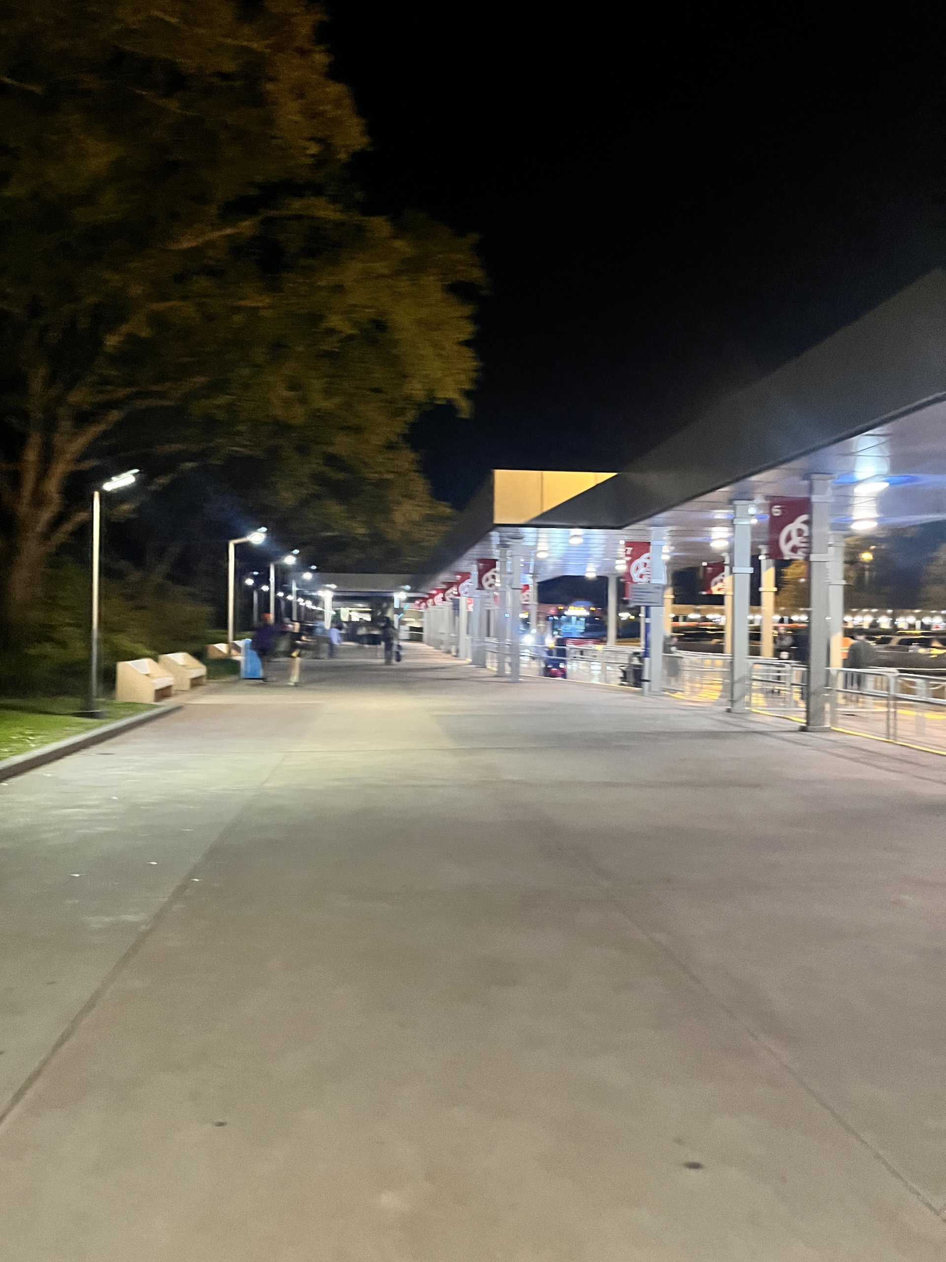 IMG_7113.jpeg