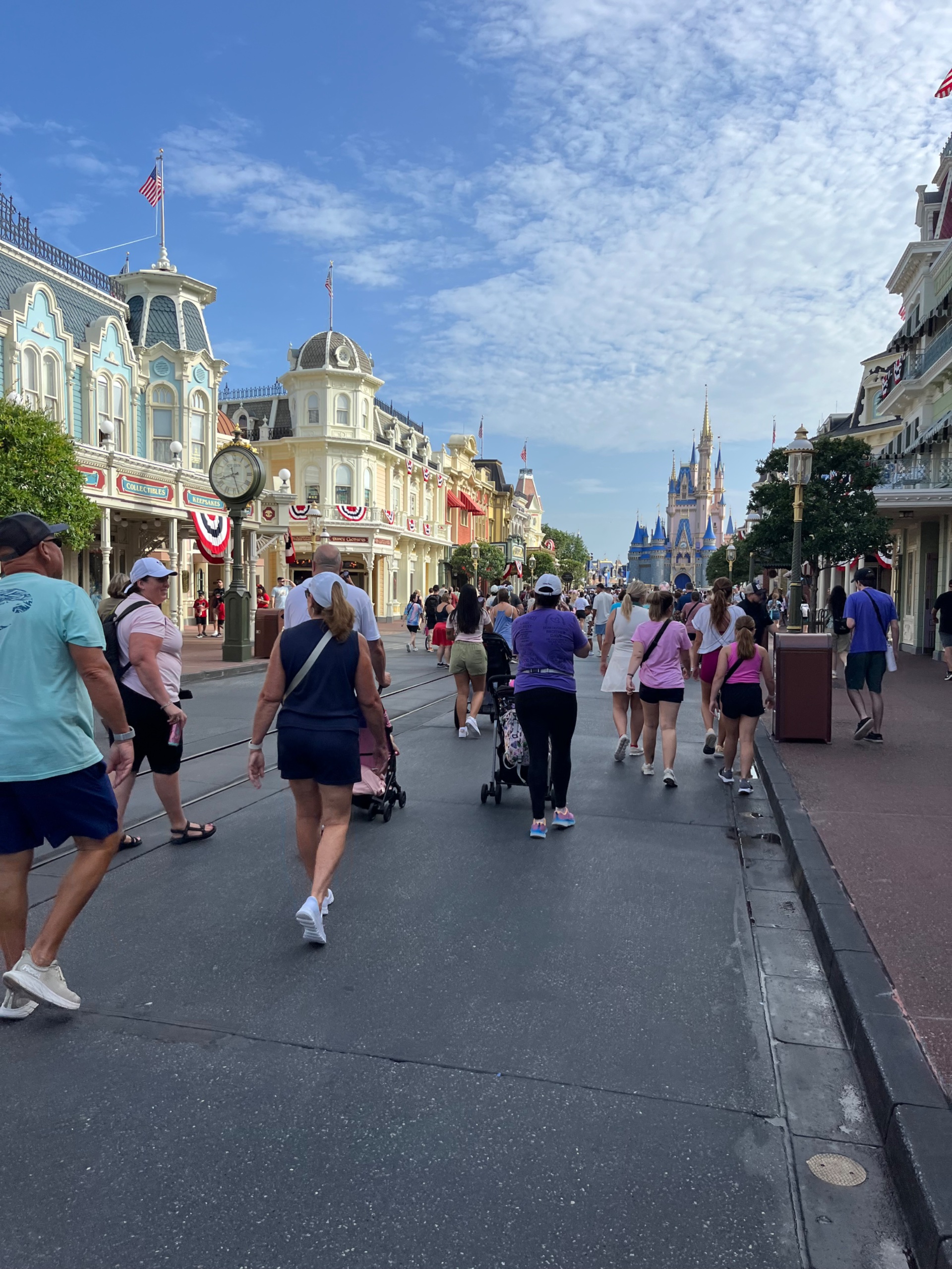 IMG_7178.jpeg