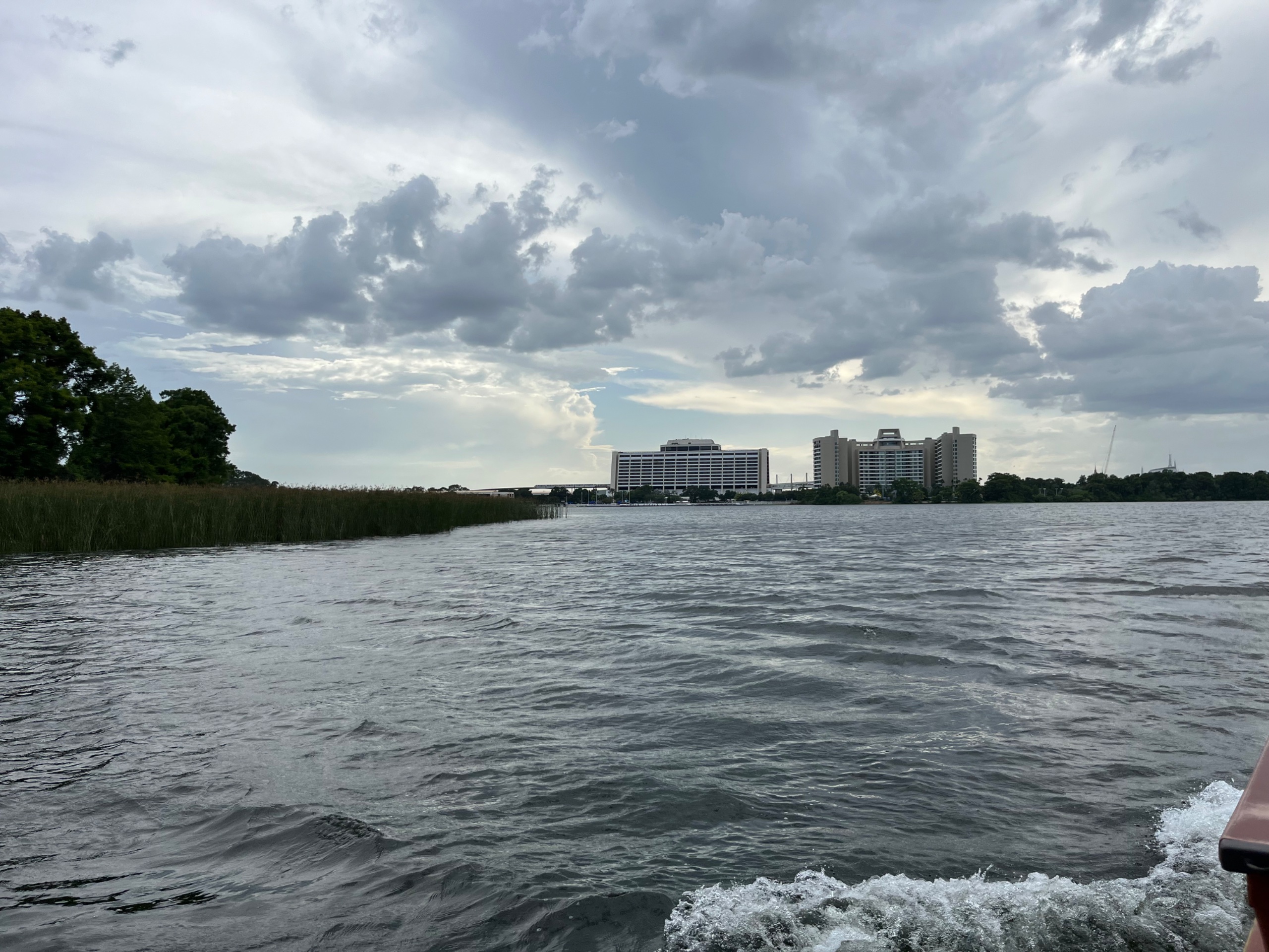 IMG_7234.jpeg