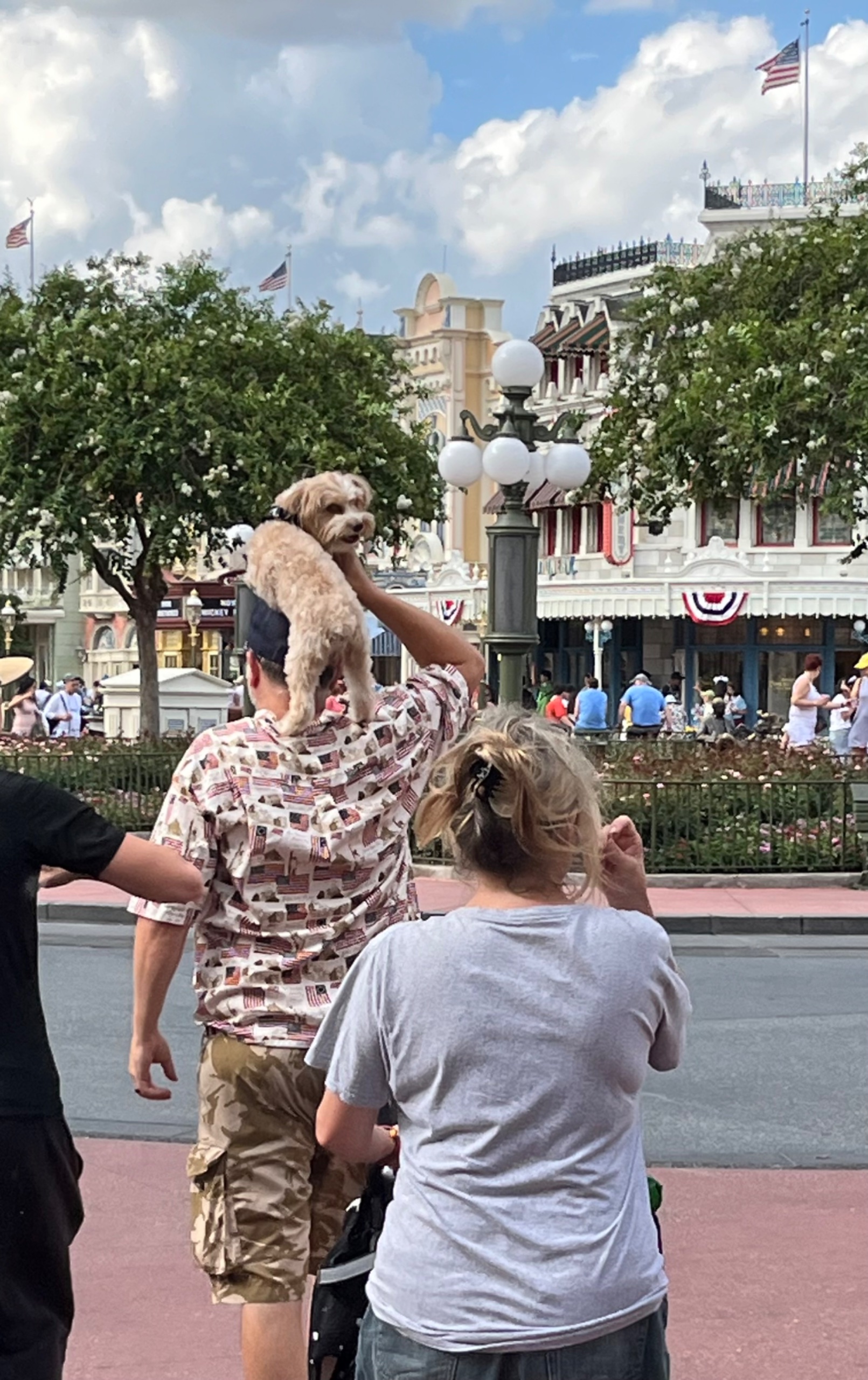 IMG_7278.jpeg