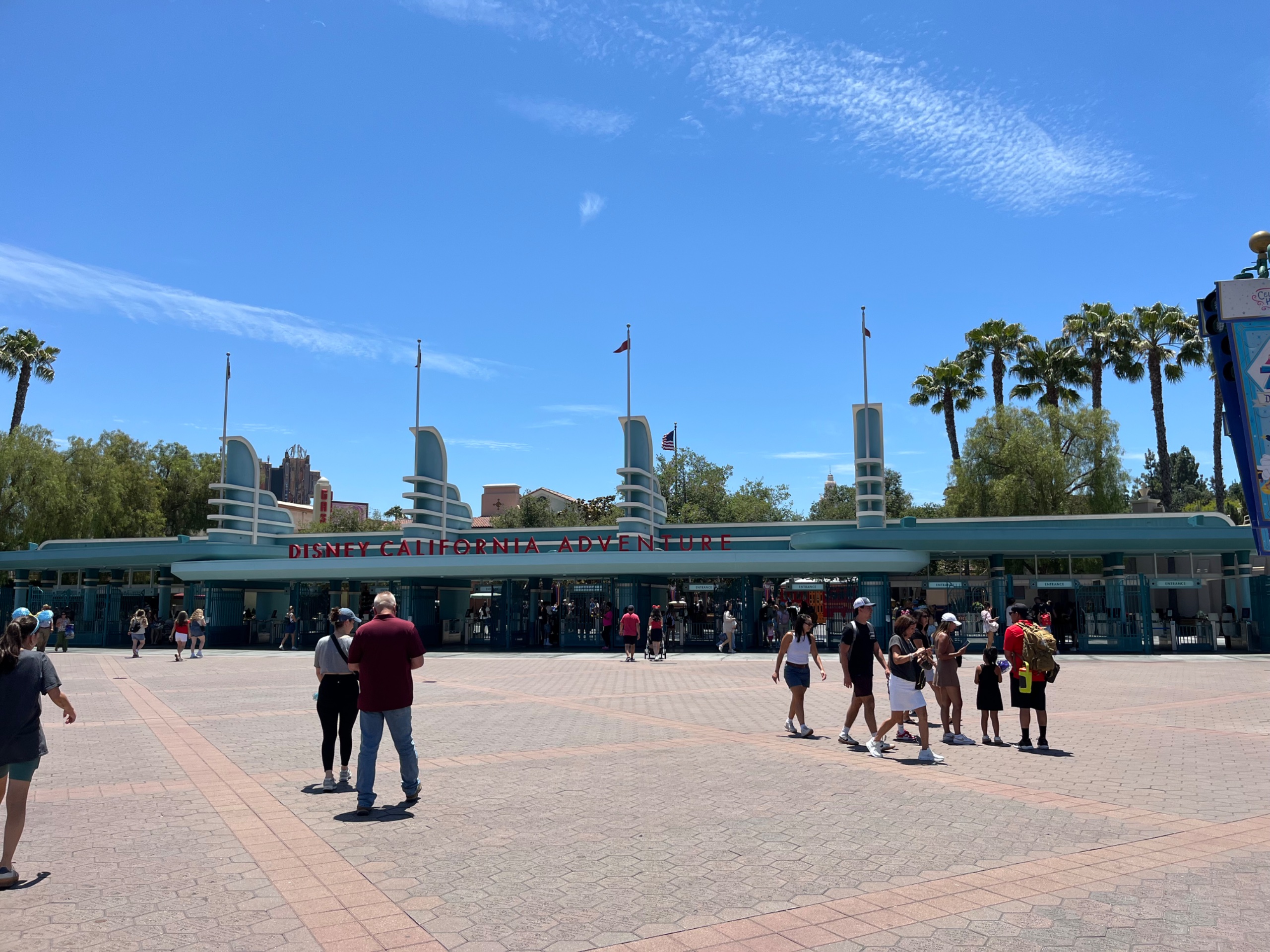 IMG_7412.jpeg