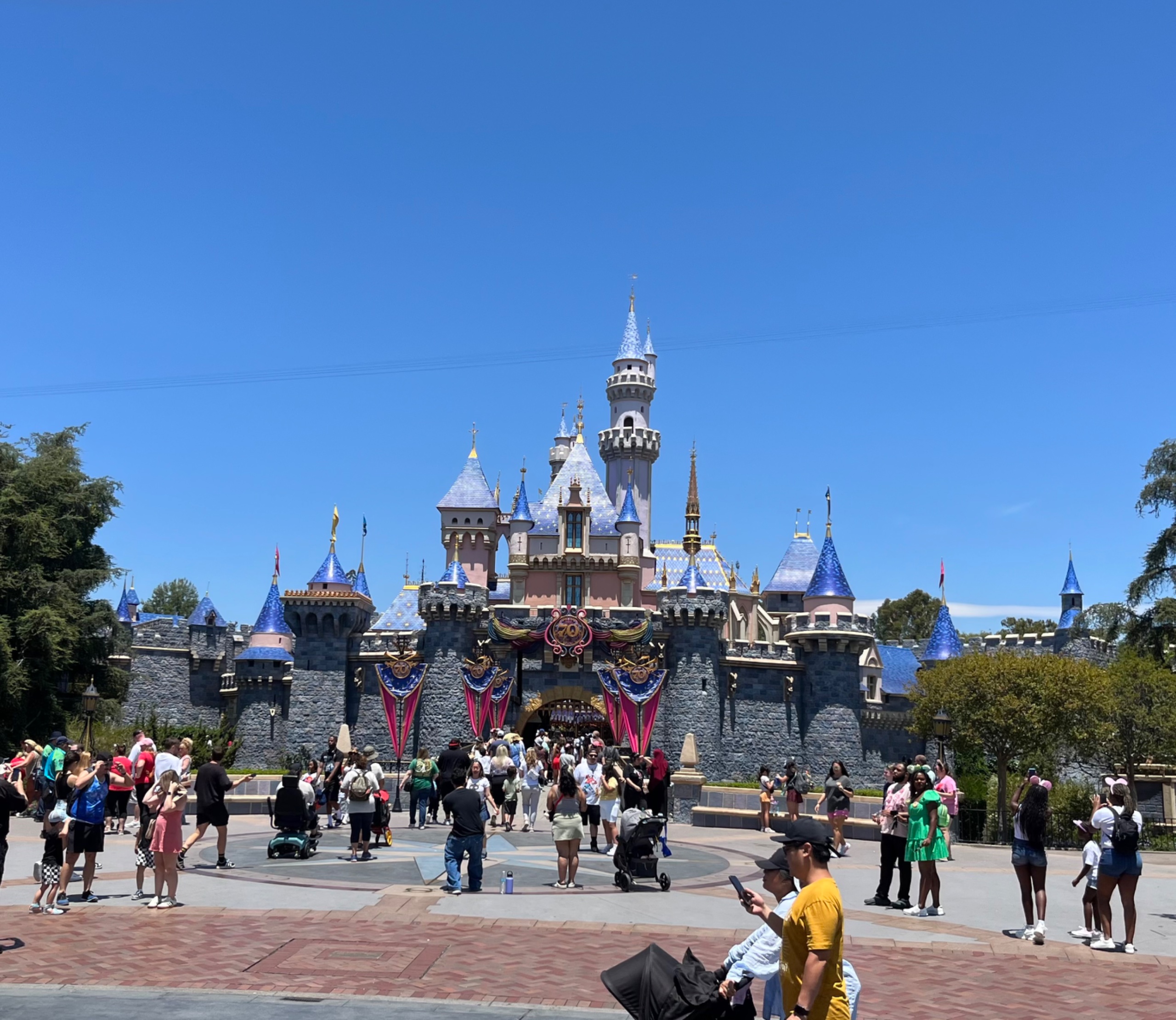 IMG_7430.jpeg