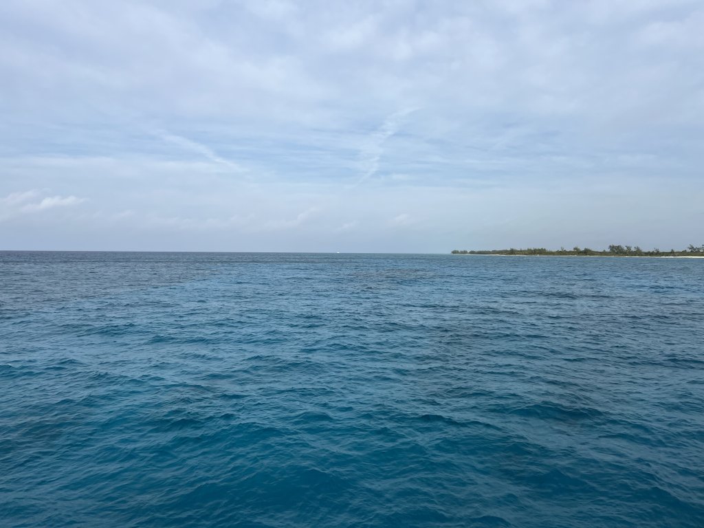 IMG_7478.JPG