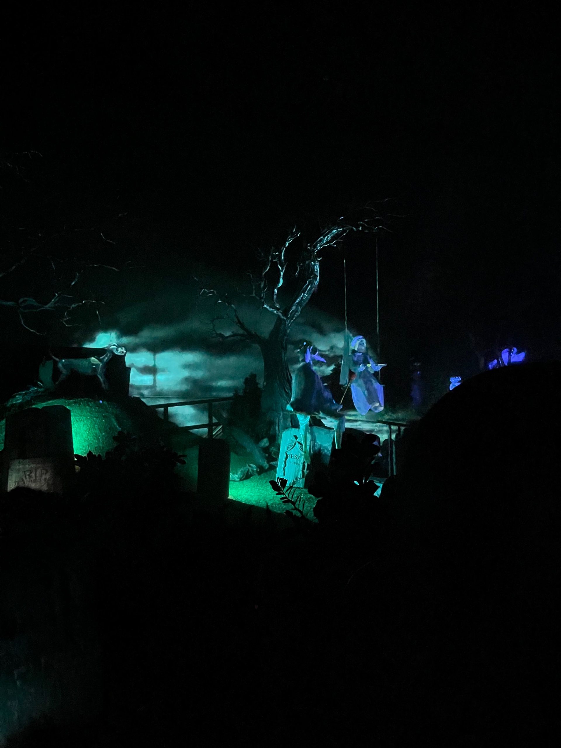 IMG_7505.jpeg