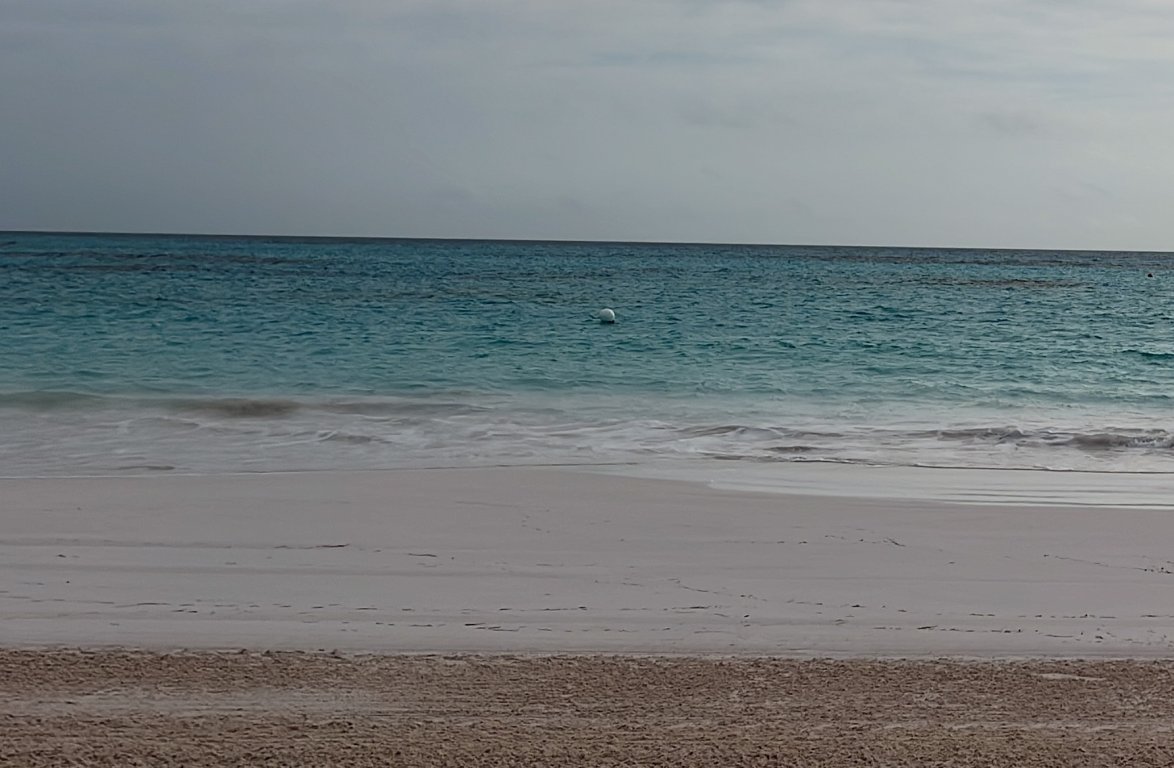 IMG_7531 - Copy.JPG