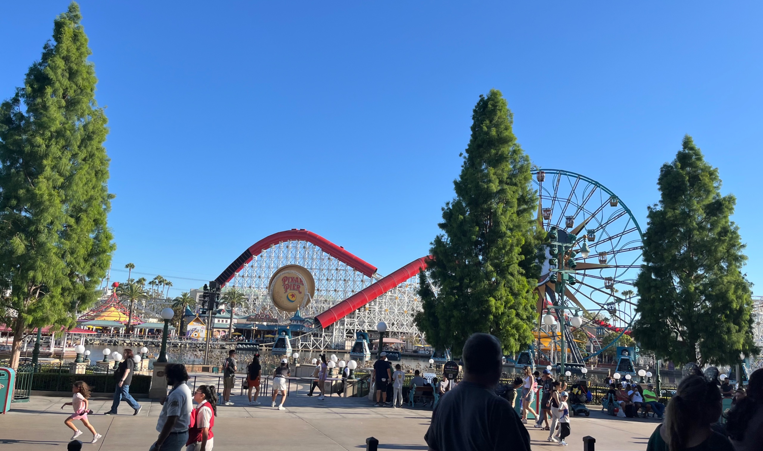 IMG_7575.jpeg