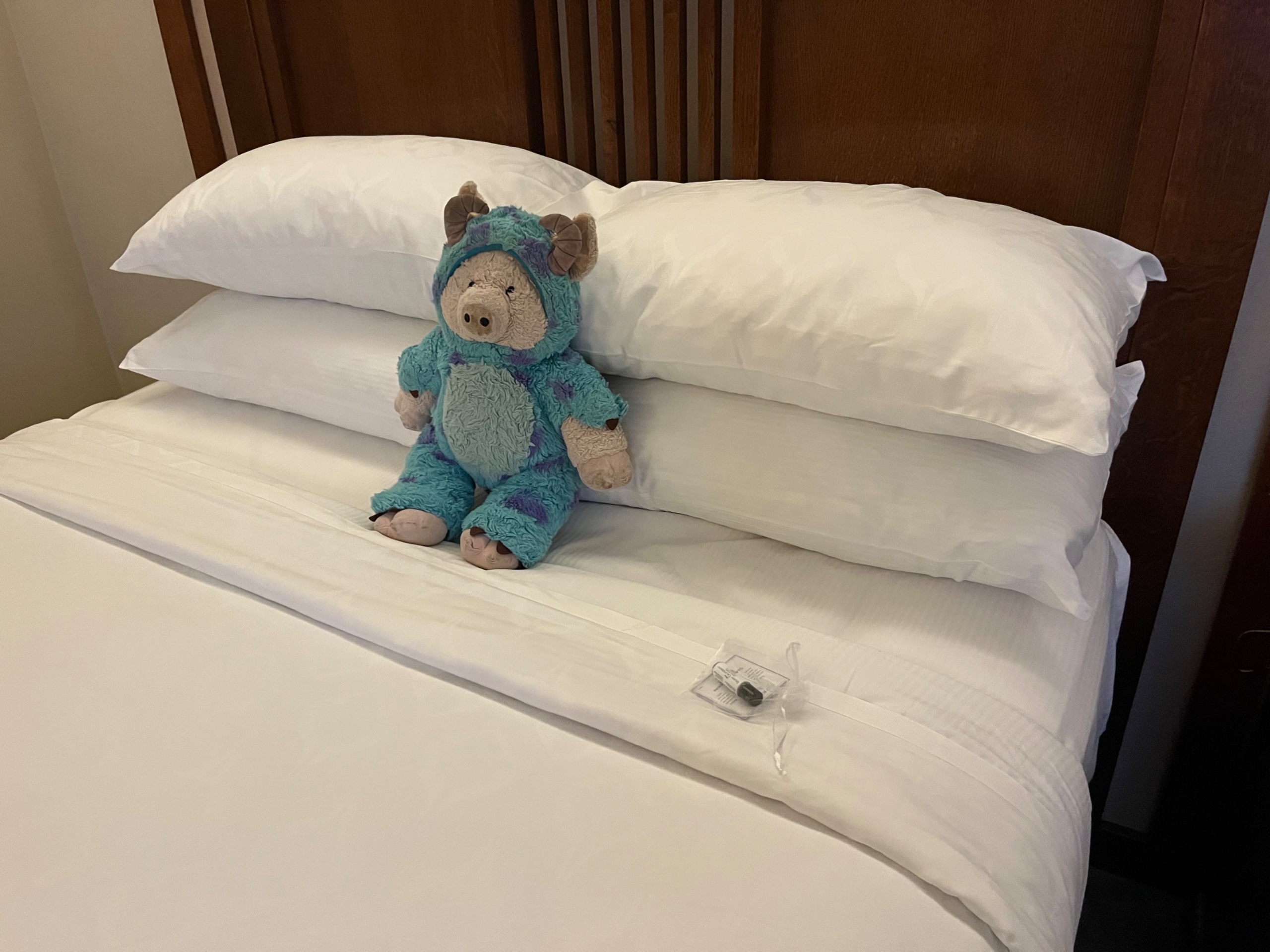 IMG_7808.jpeg