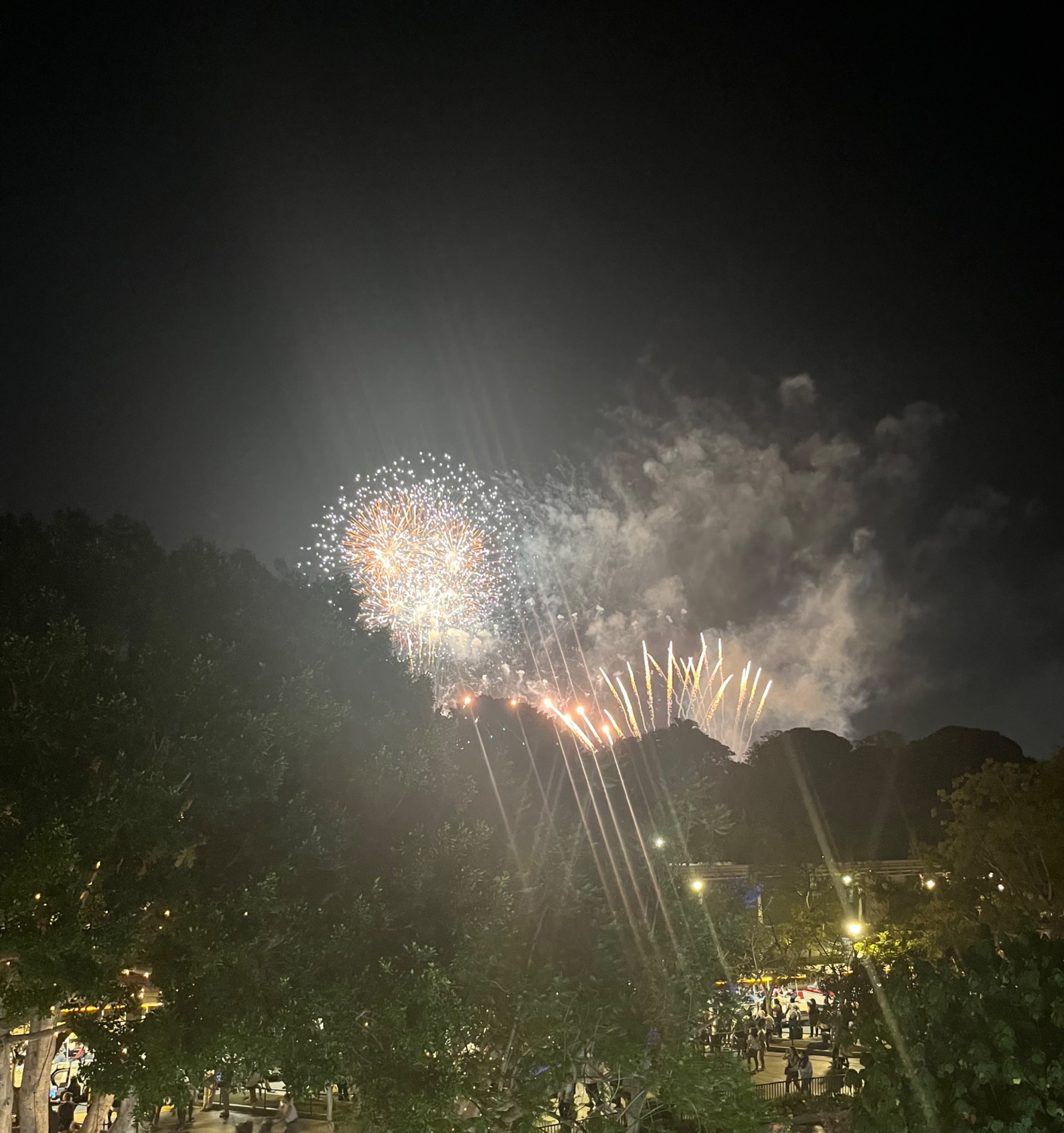 IMG_7834.jpeg