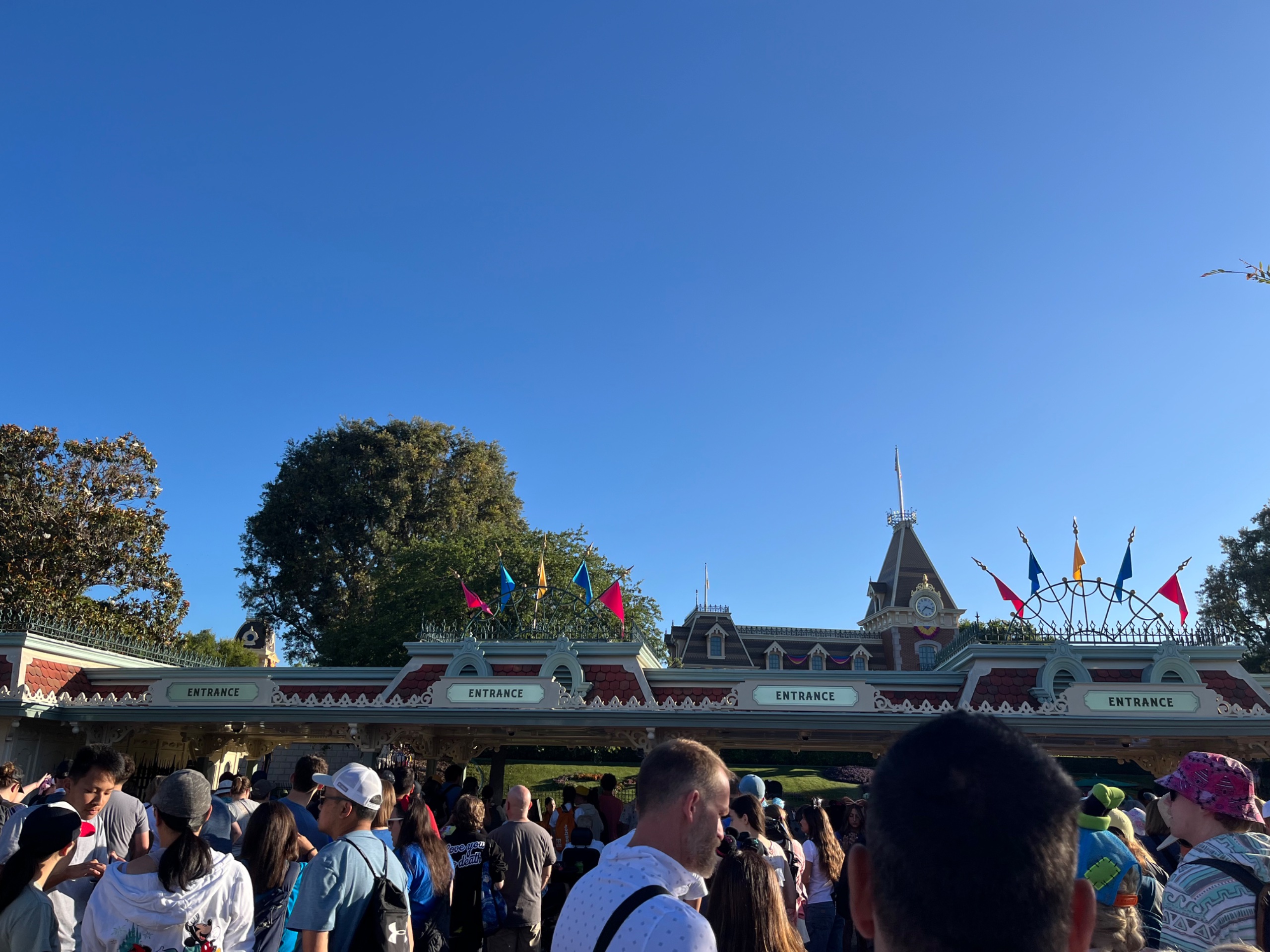 IMG_7840.jpeg