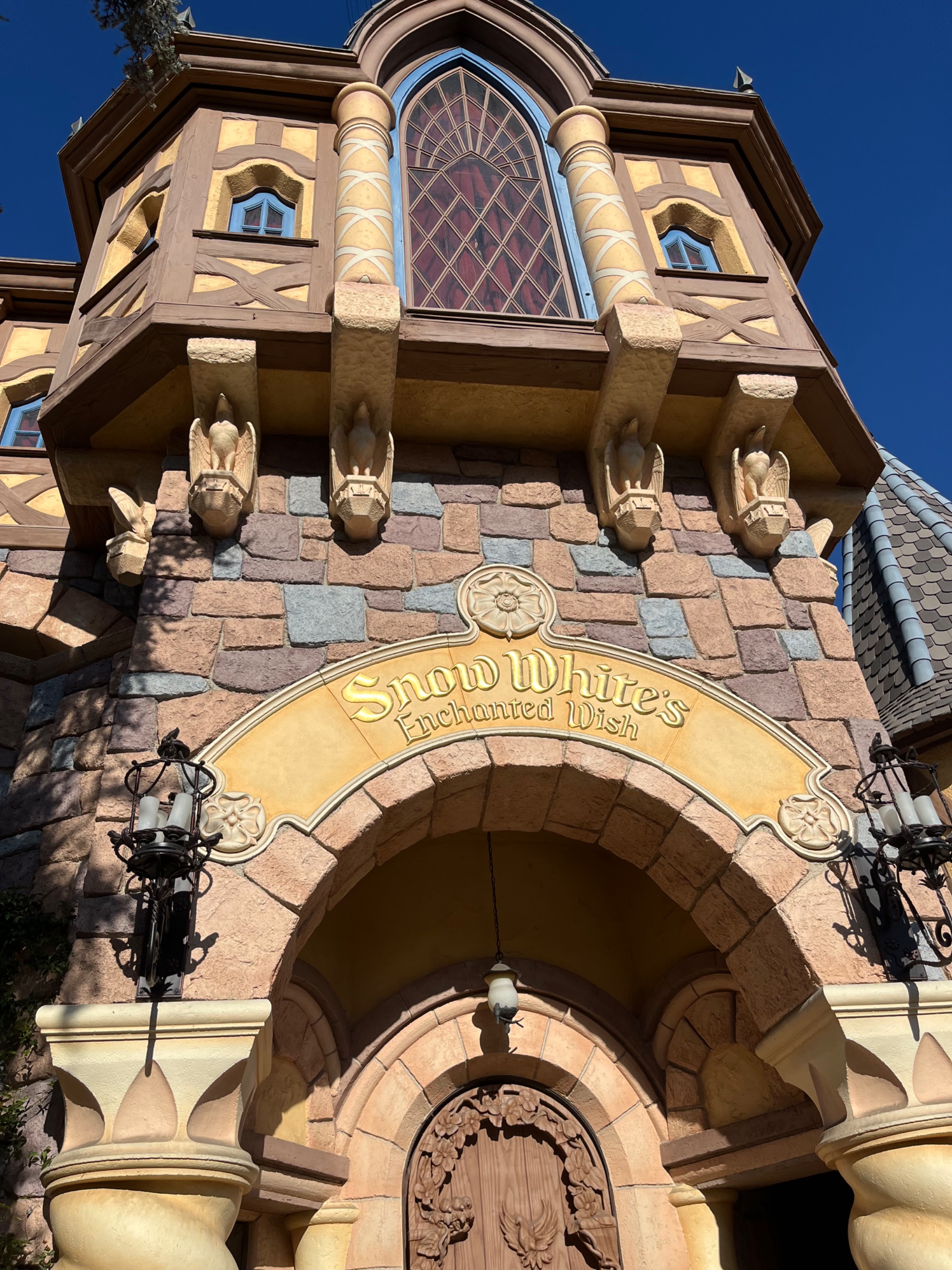 IMG_7877.jpeg