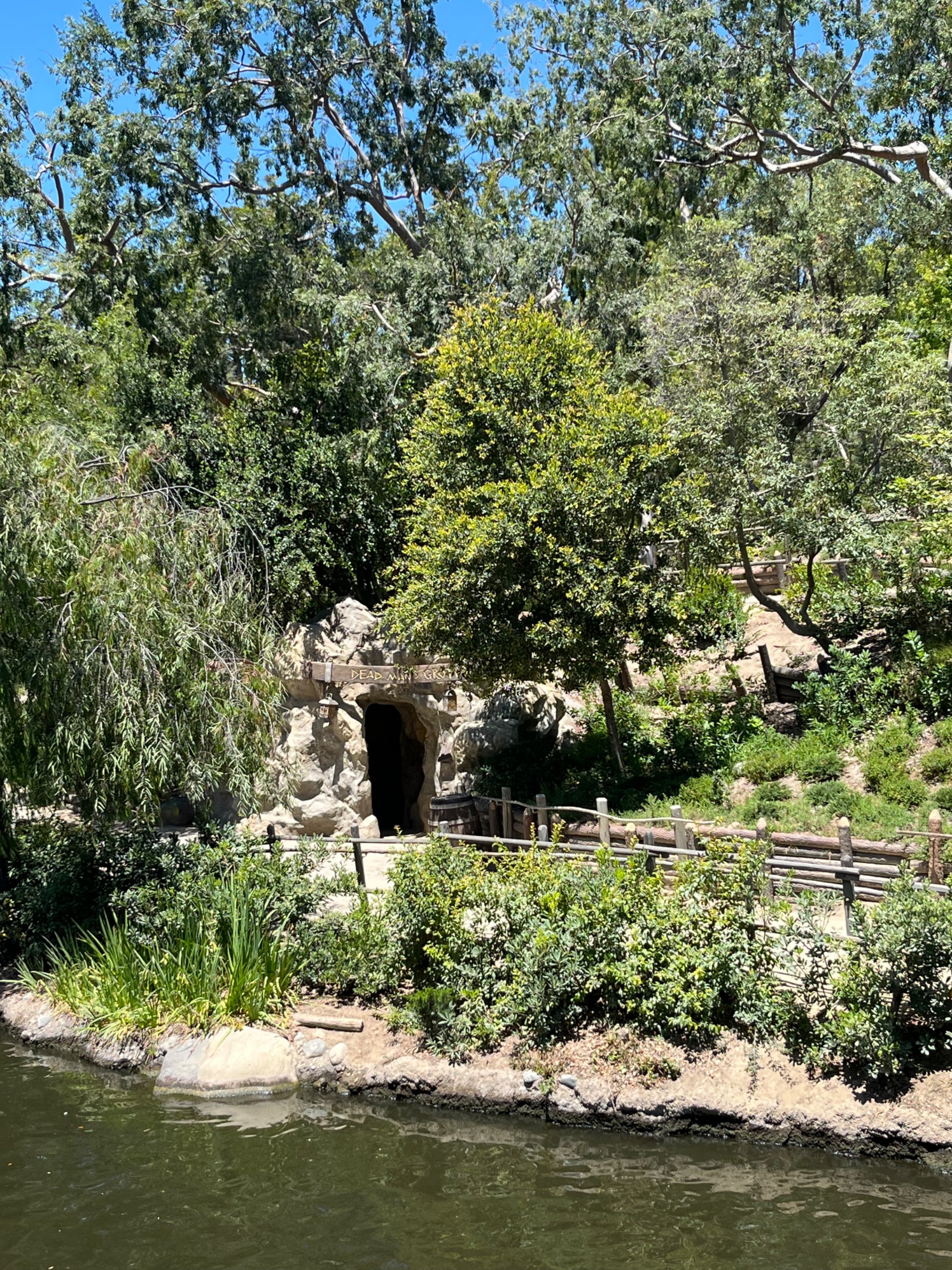 IMG_7977.jpeg