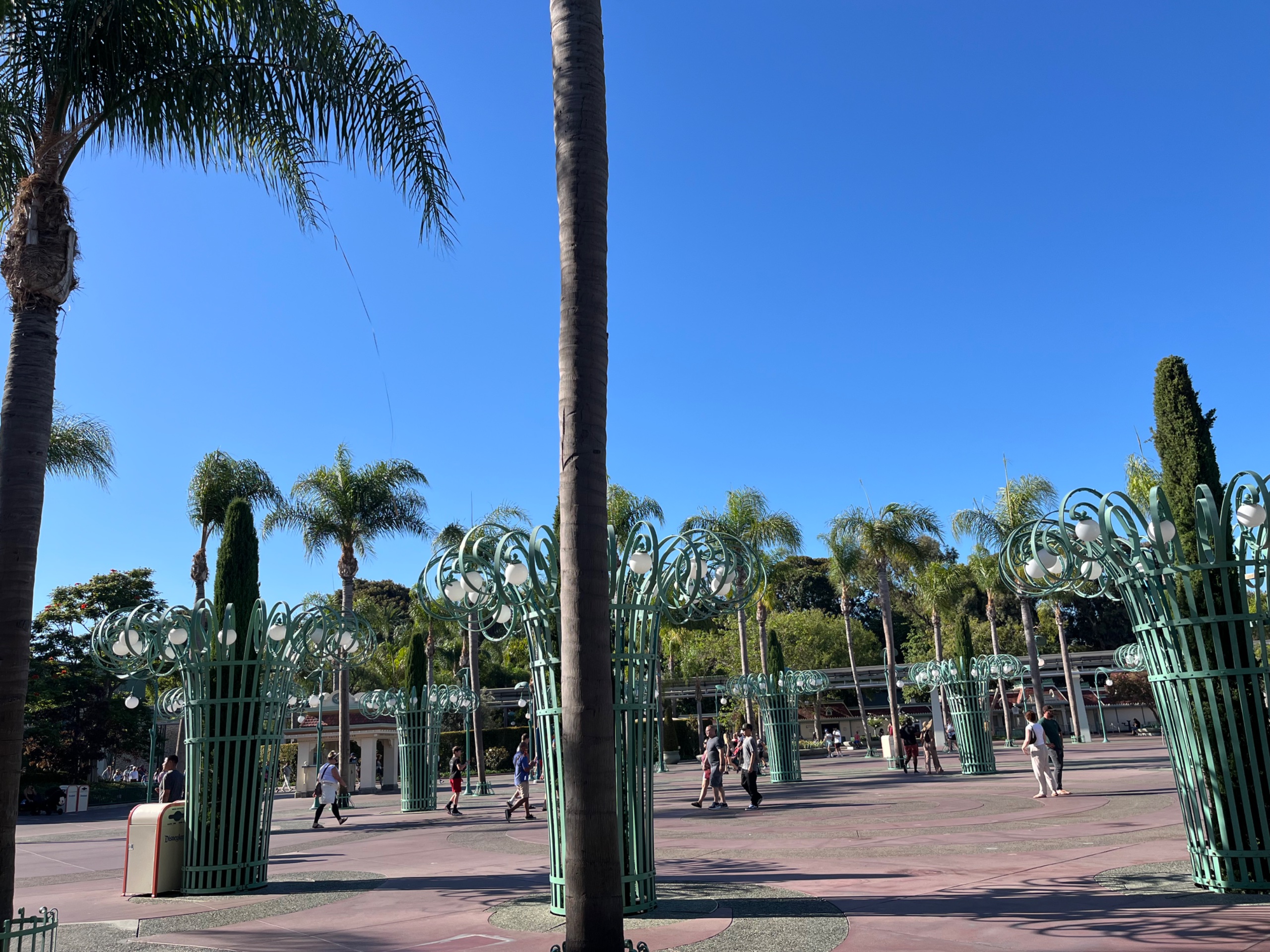 IMG_8047.jpeg
