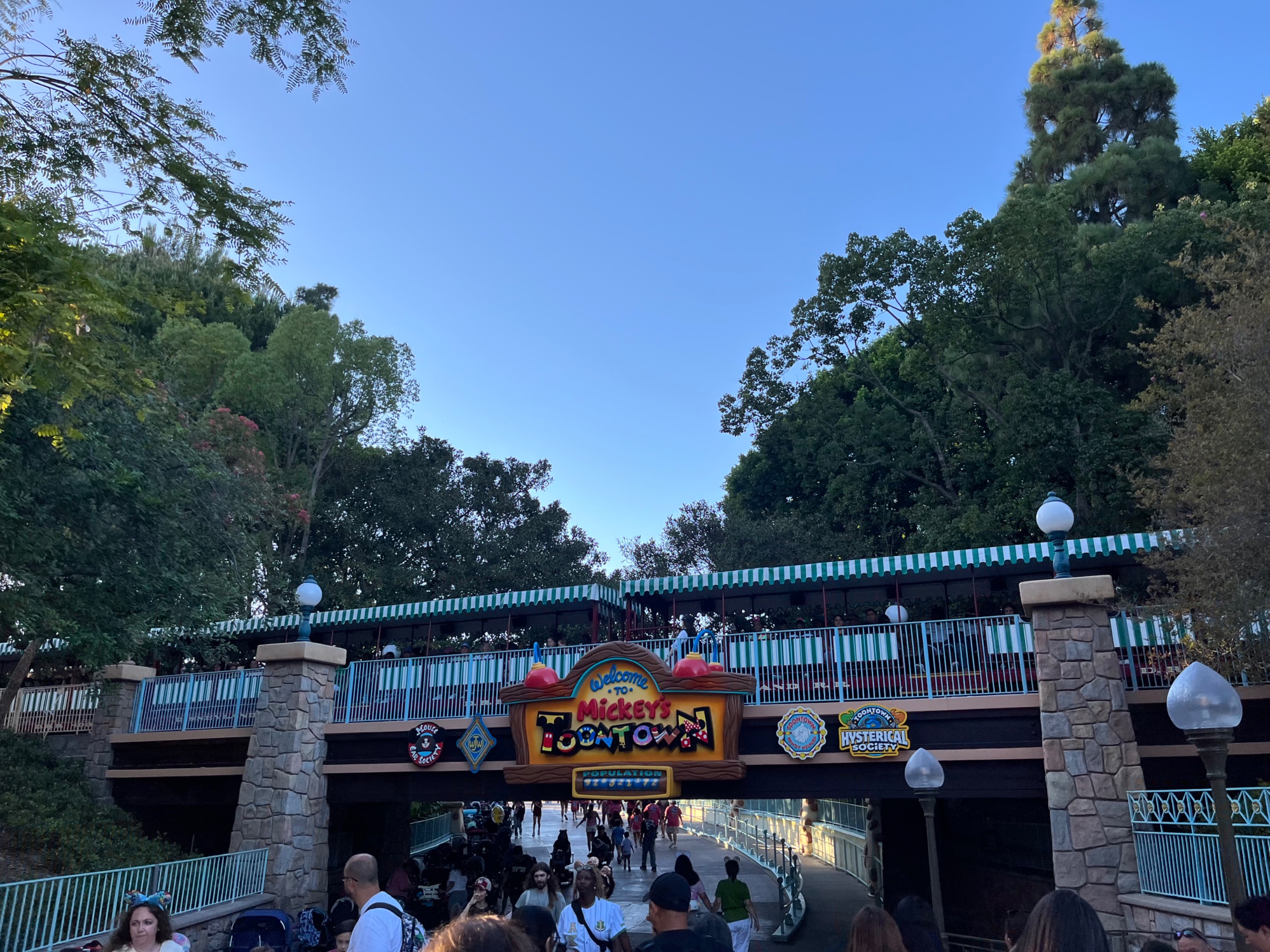 IMG_8065.jpeg