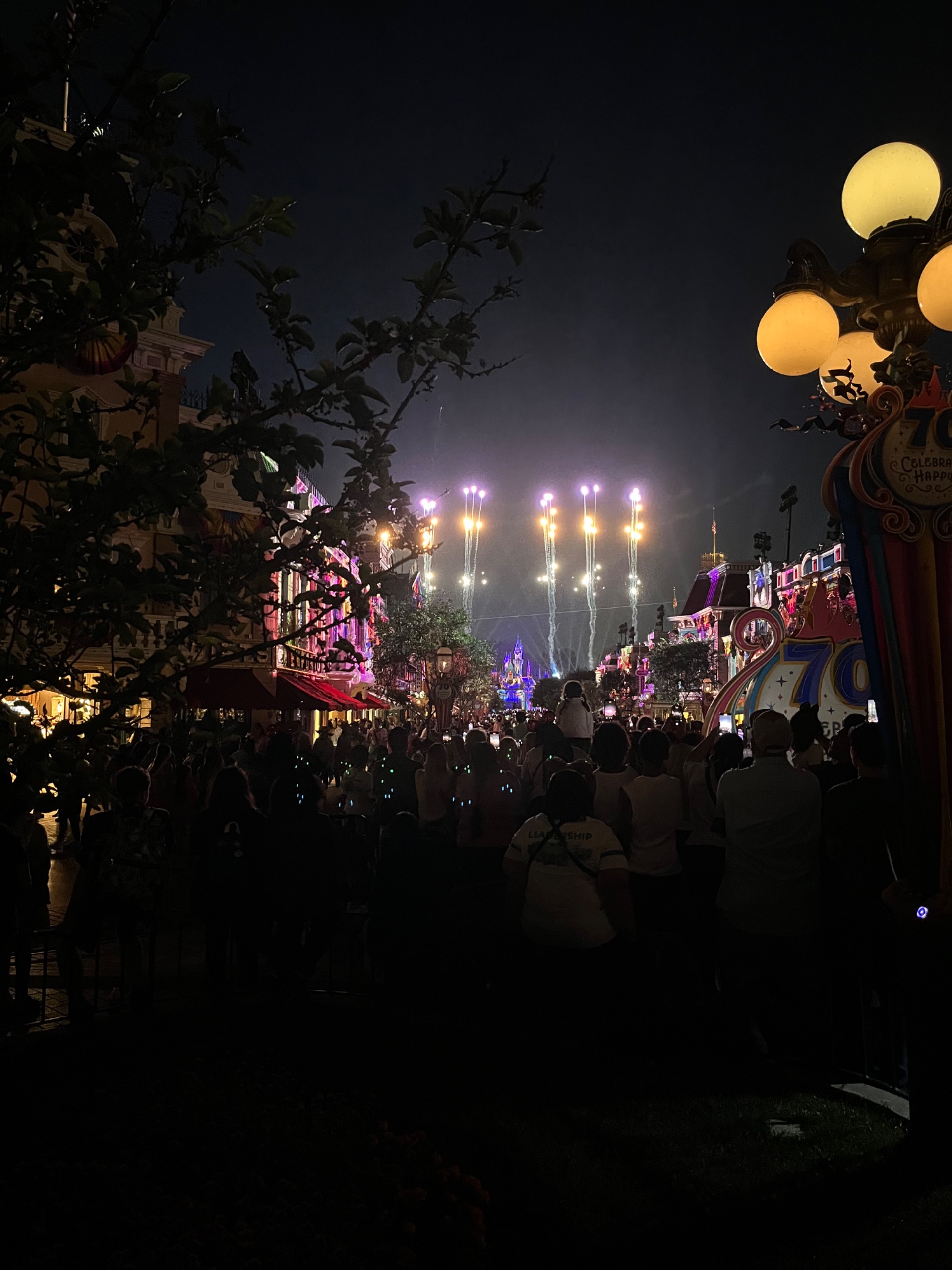 IMG_8149.jpeg