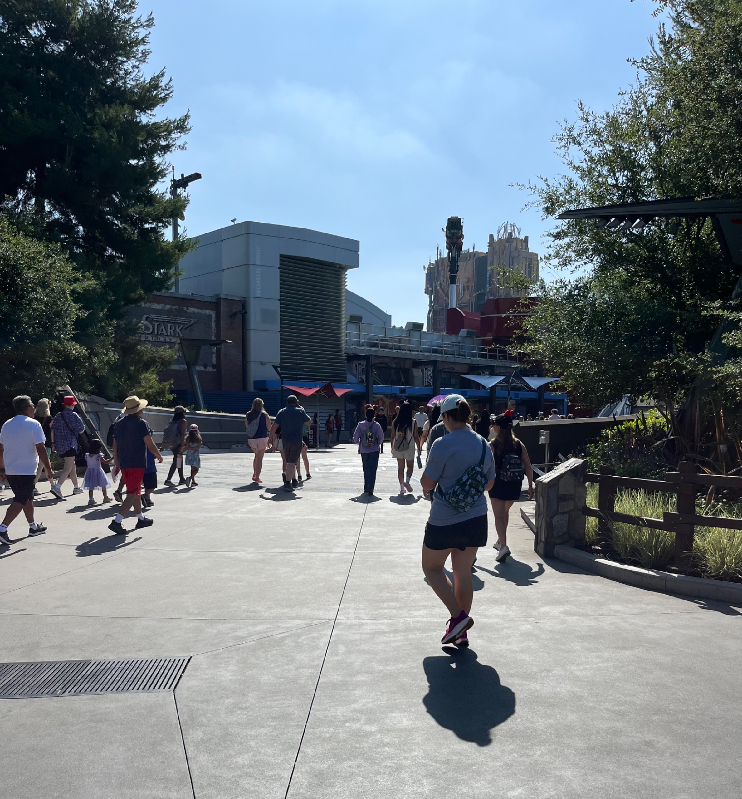 IMG_8220.jpeg