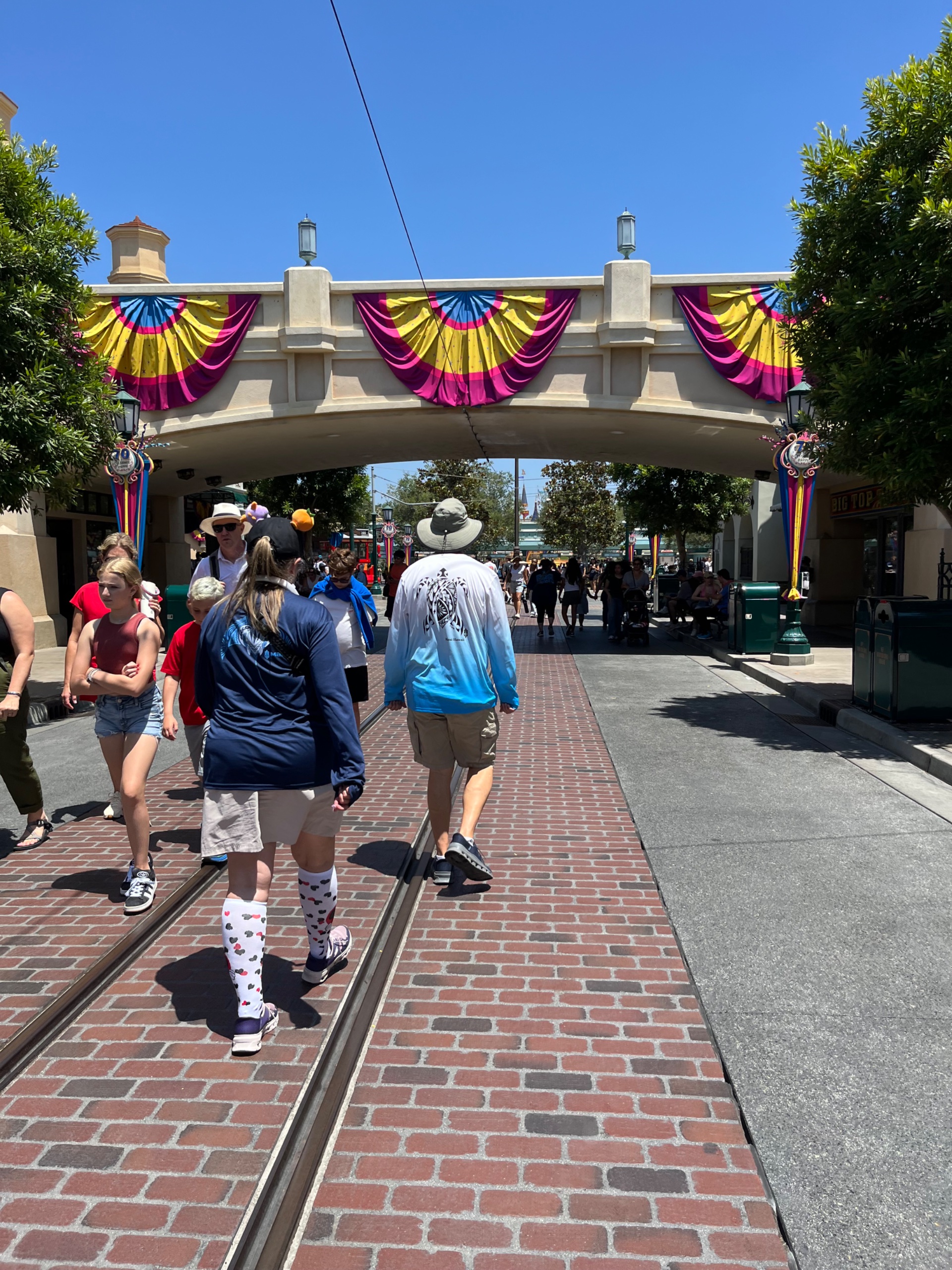 IMG_8274.jpeg