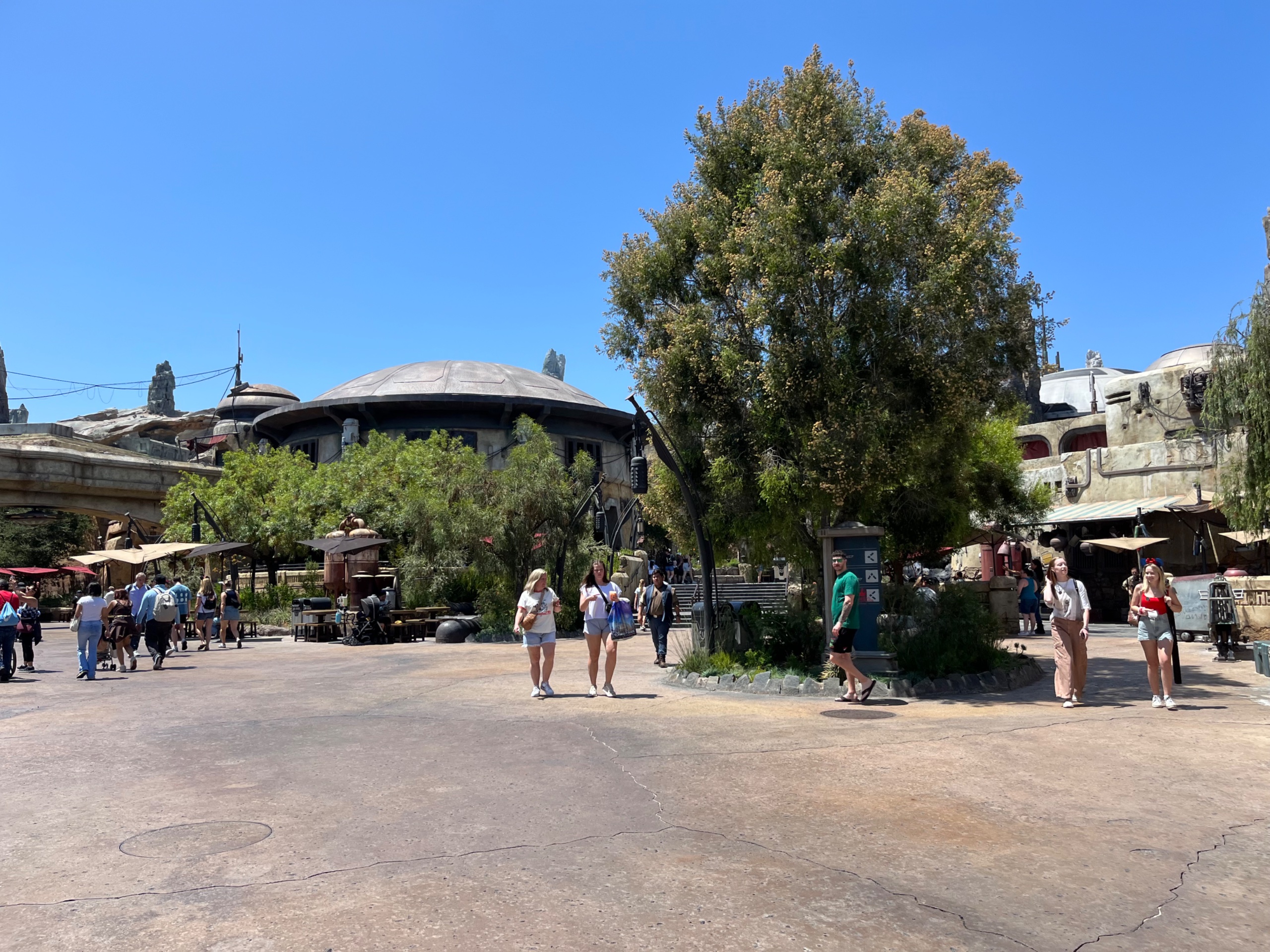 IMG_8340.jpeg