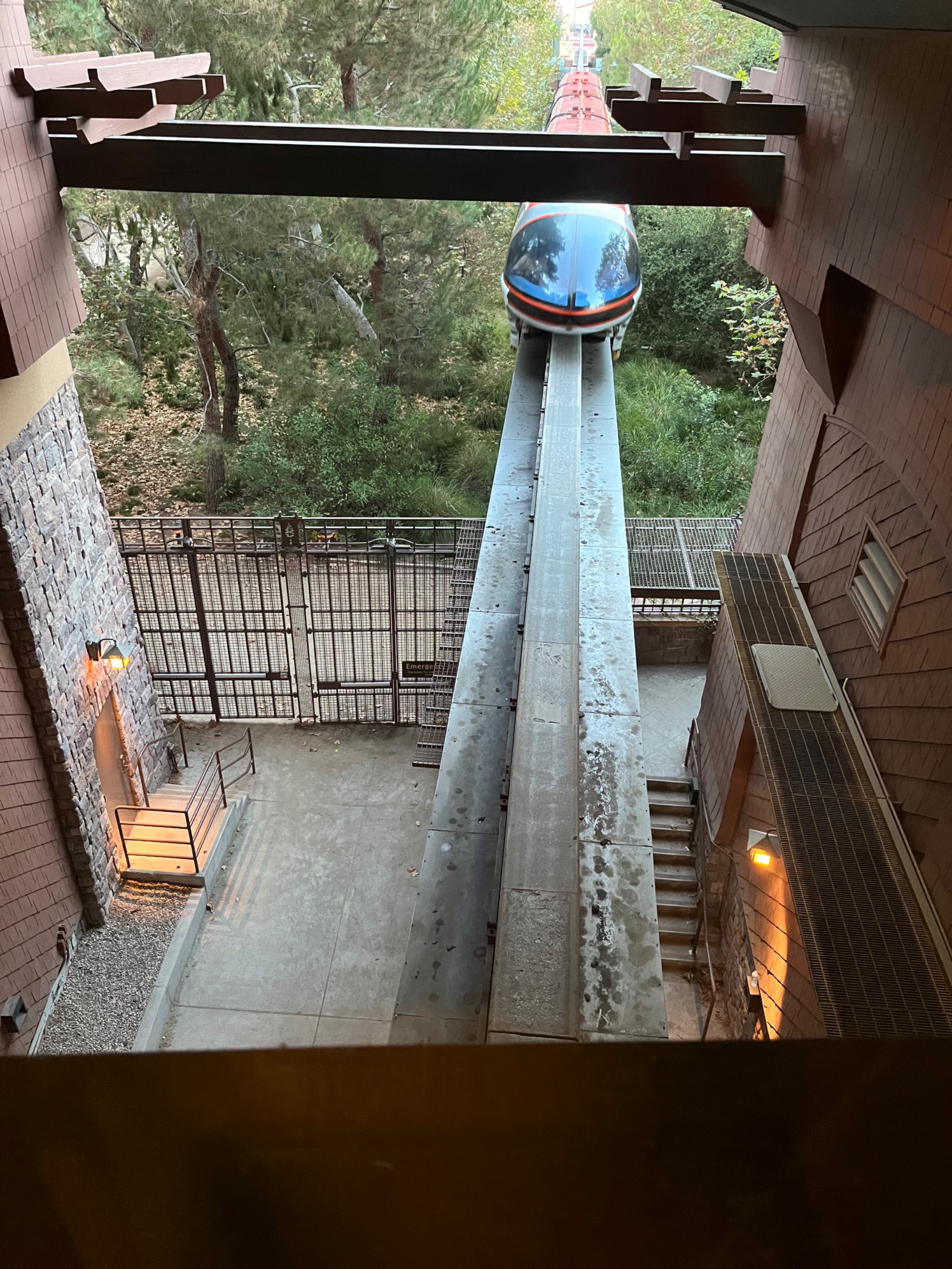 IMG_8381.jpeg