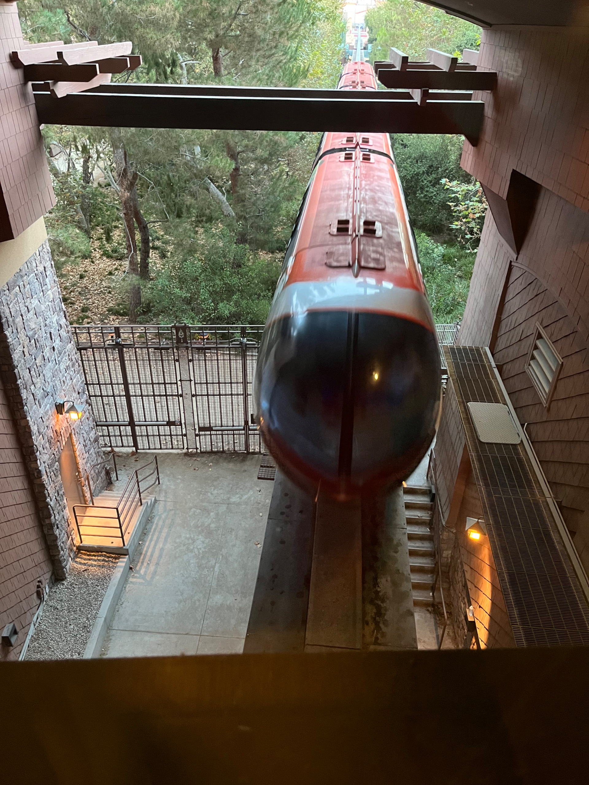 IMG_8382.jpeg