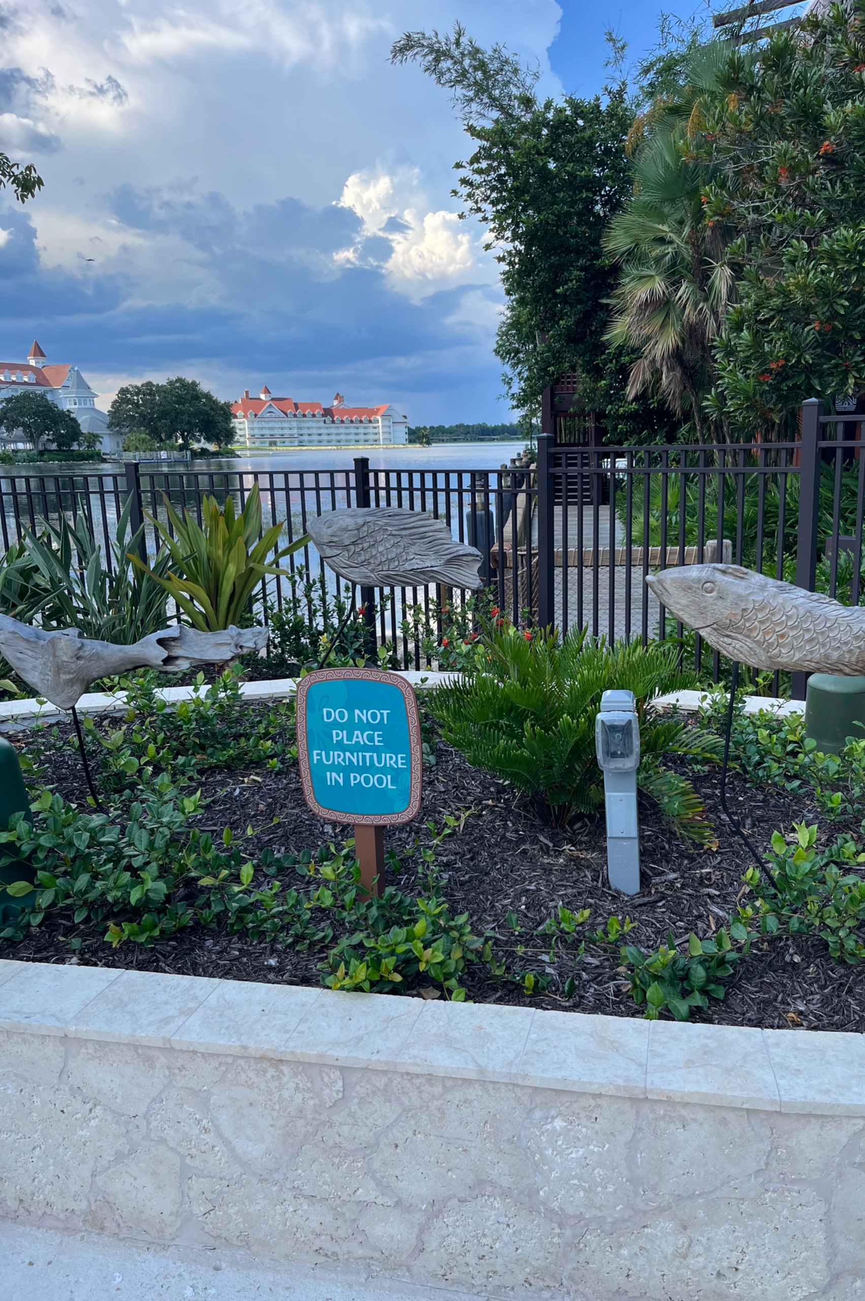 IMG_8622.jpeg