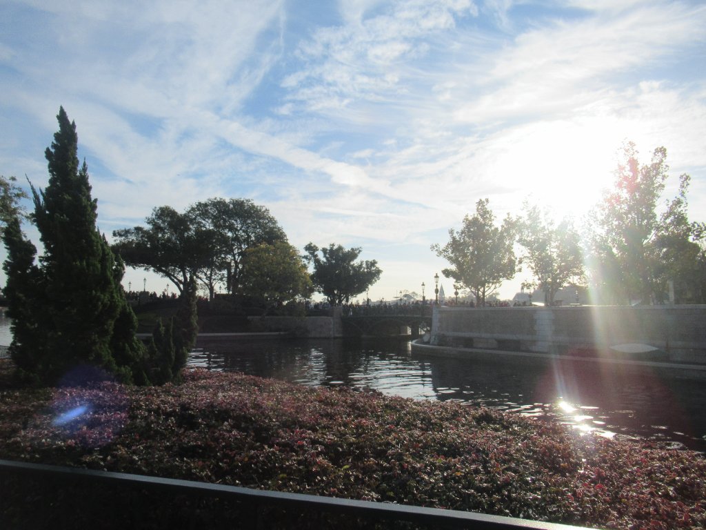 IMG_8950.JPG