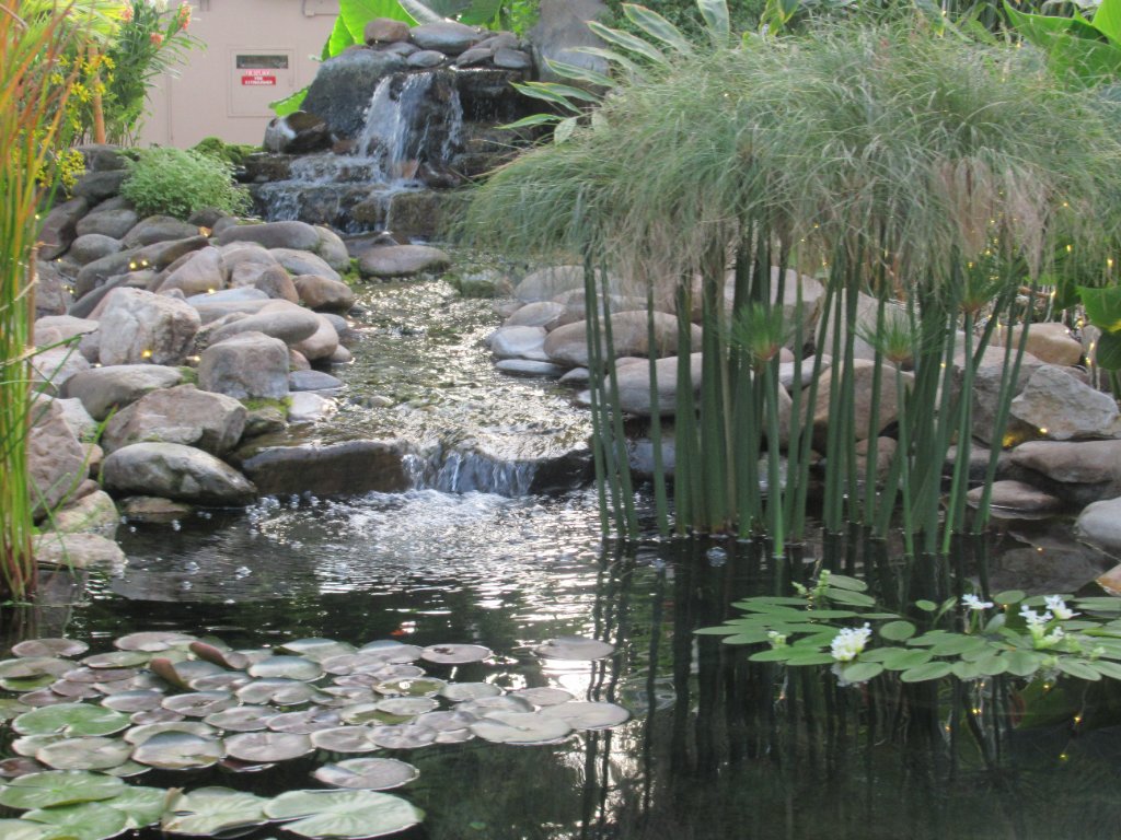 IMG_8972.JPG