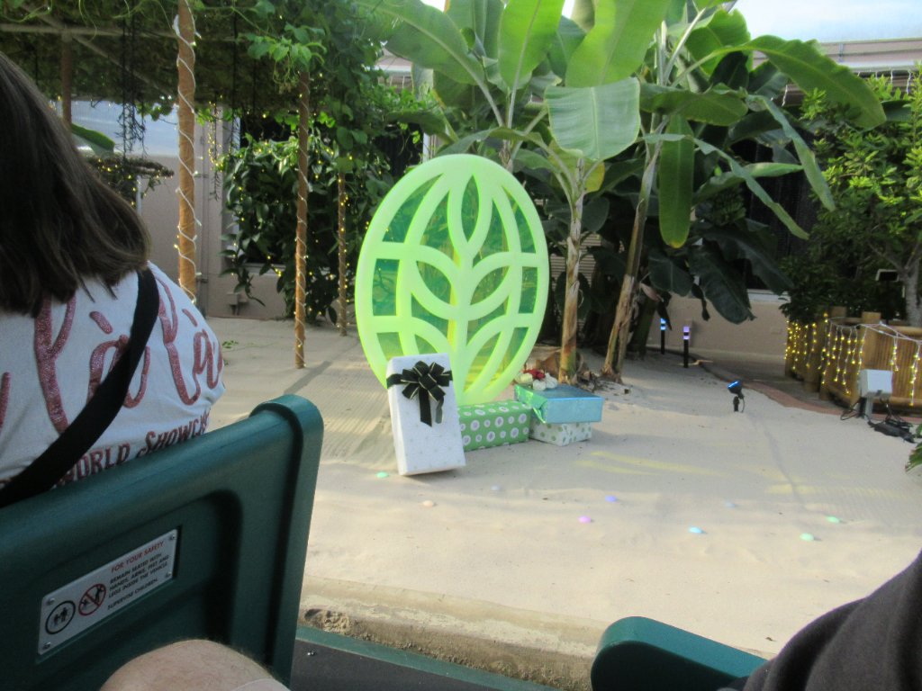 IMG_8974.JPG