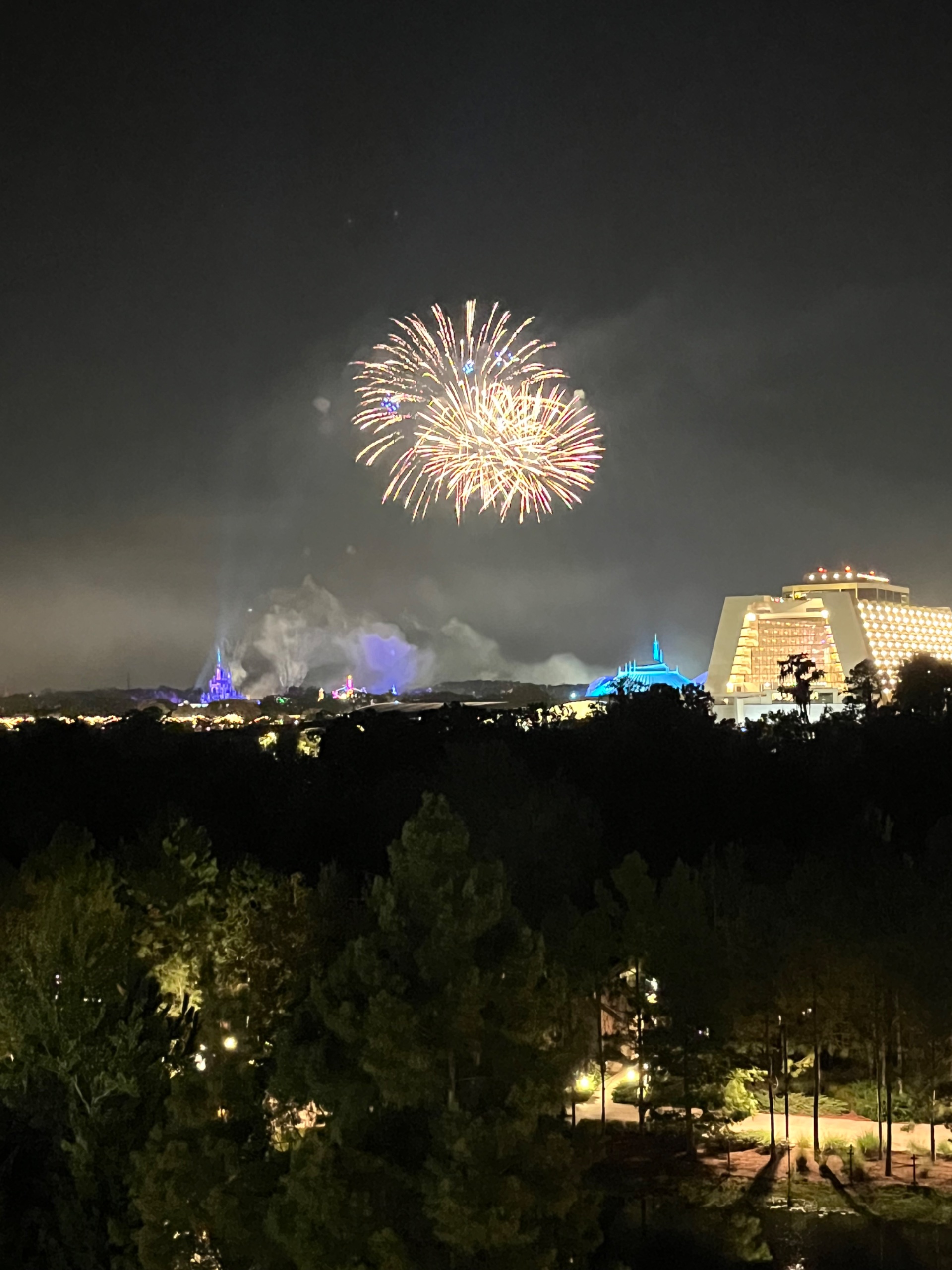 IMG_8977.jpeg
