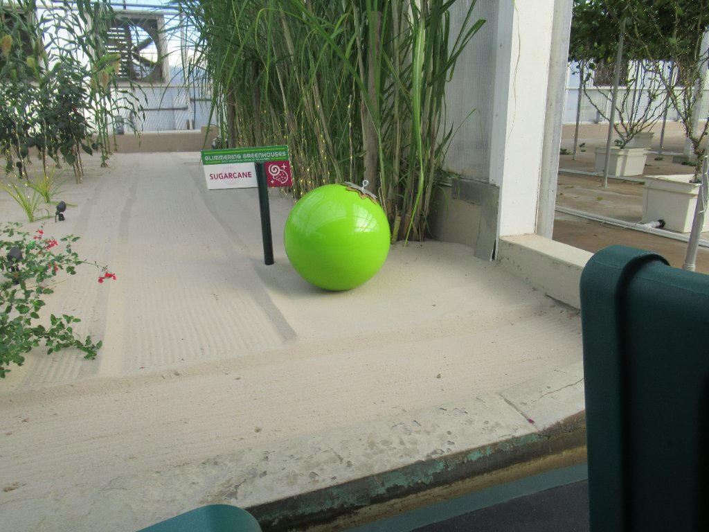 IMG_8985.JPG