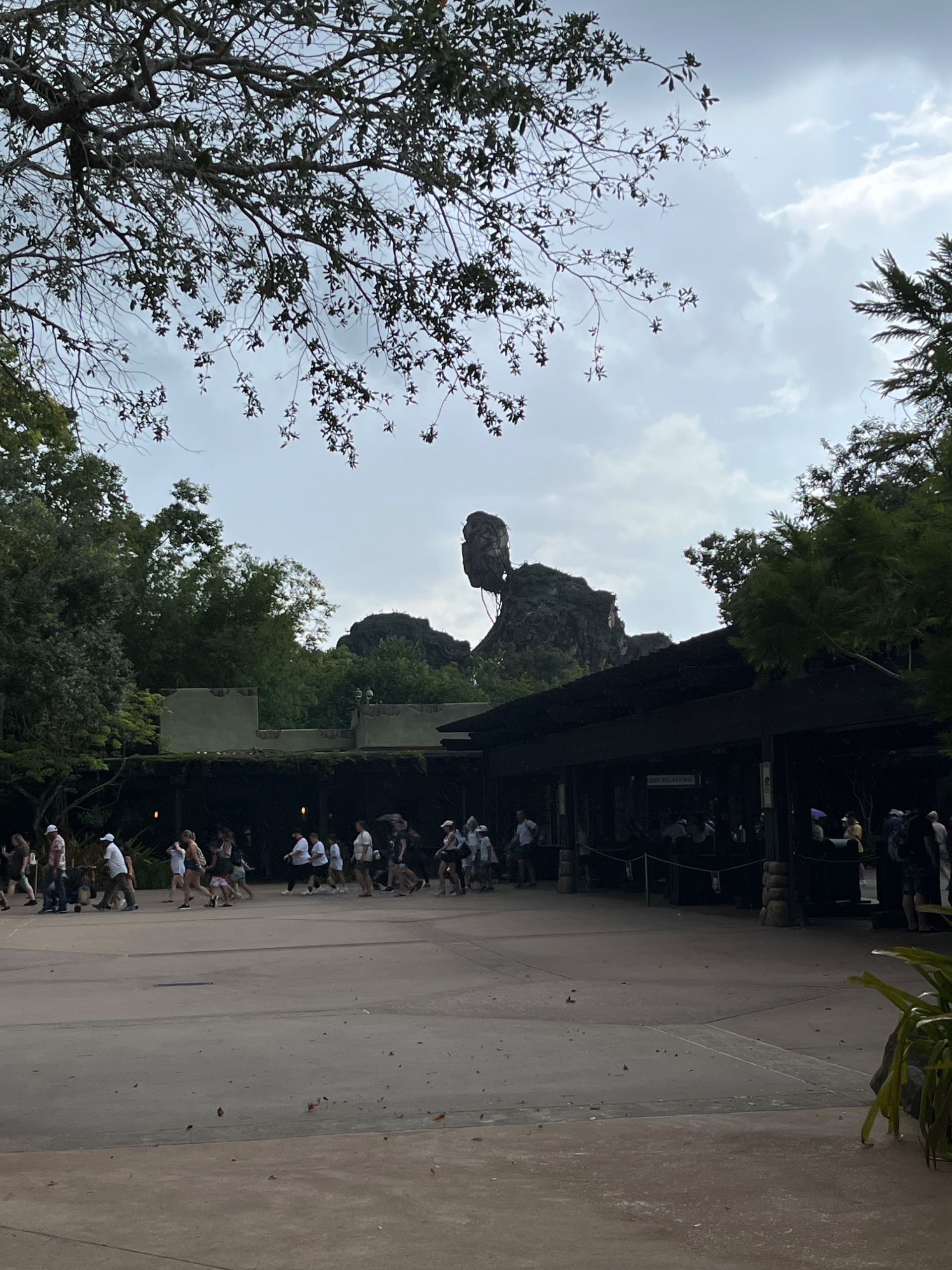 IMG_8998.jpeg