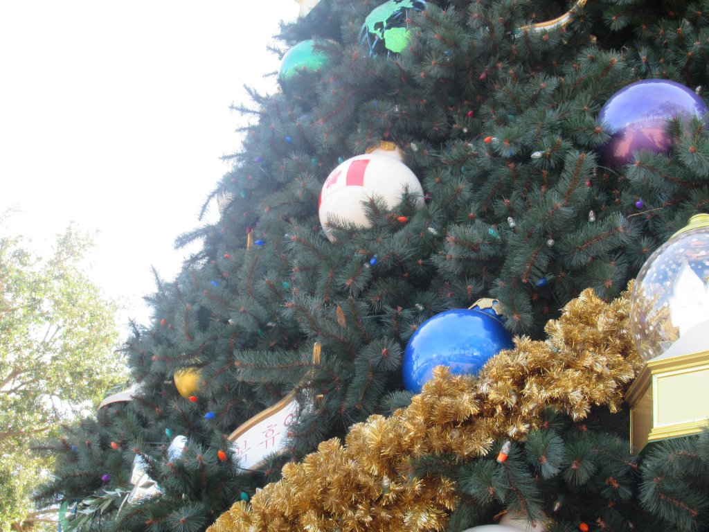 IMG_9027.JPG