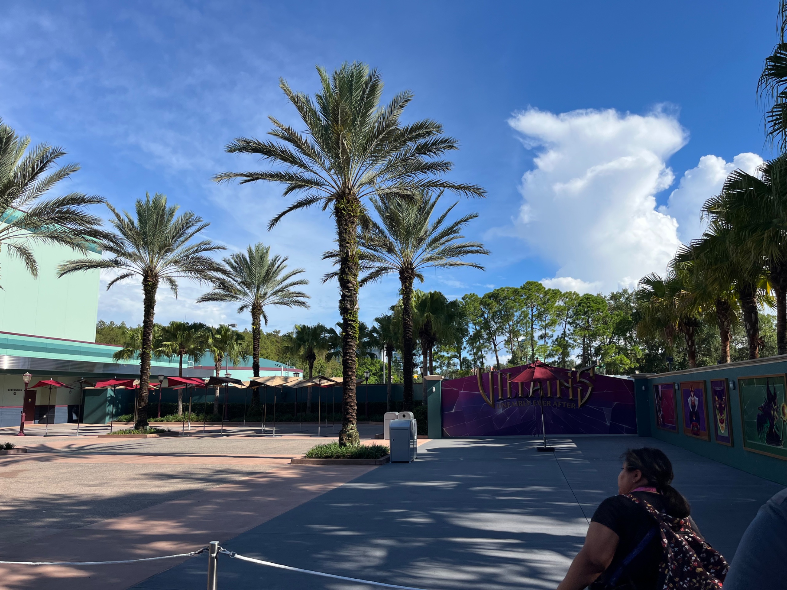 IMG_9032.jpeg