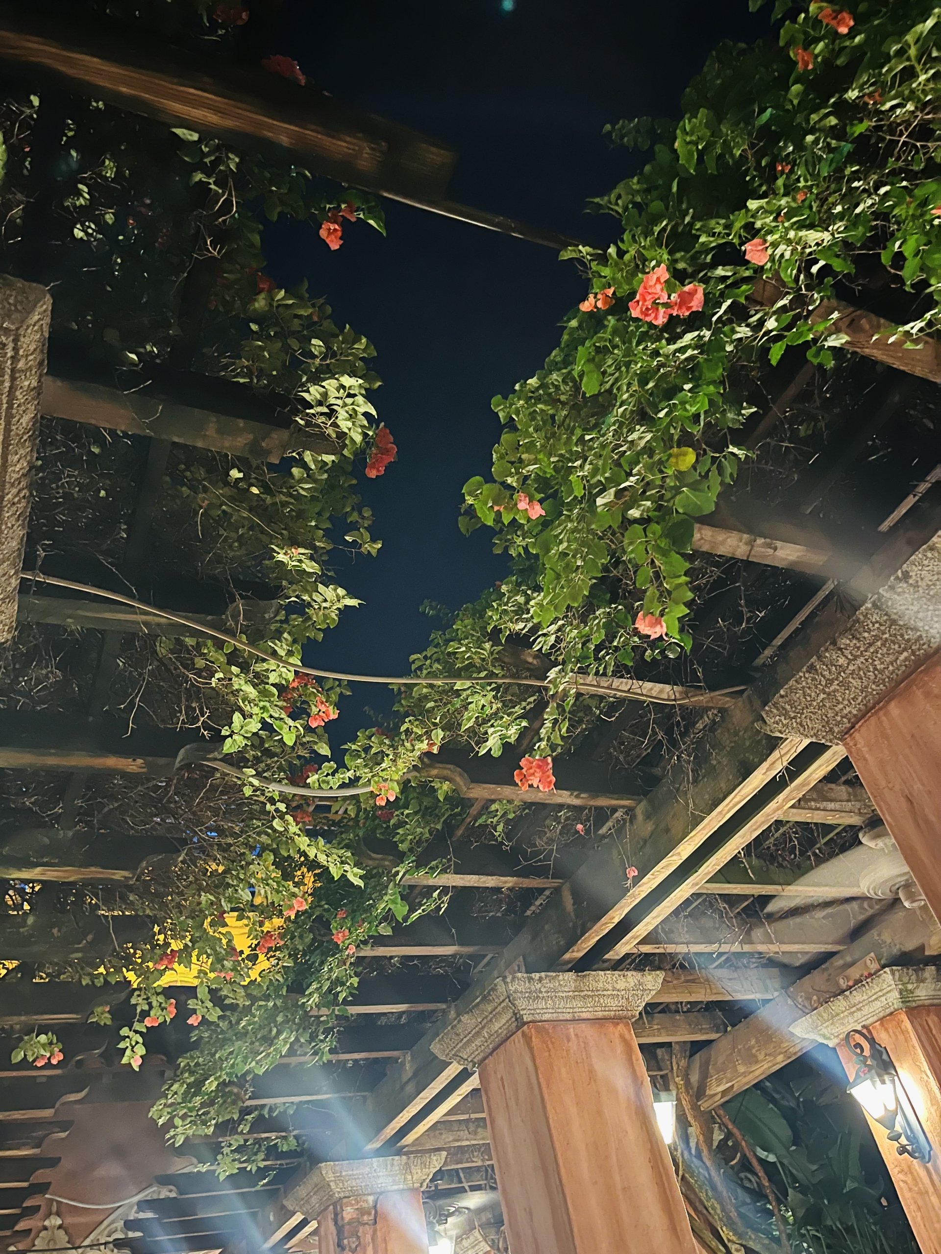 IMG_9057.jpeg