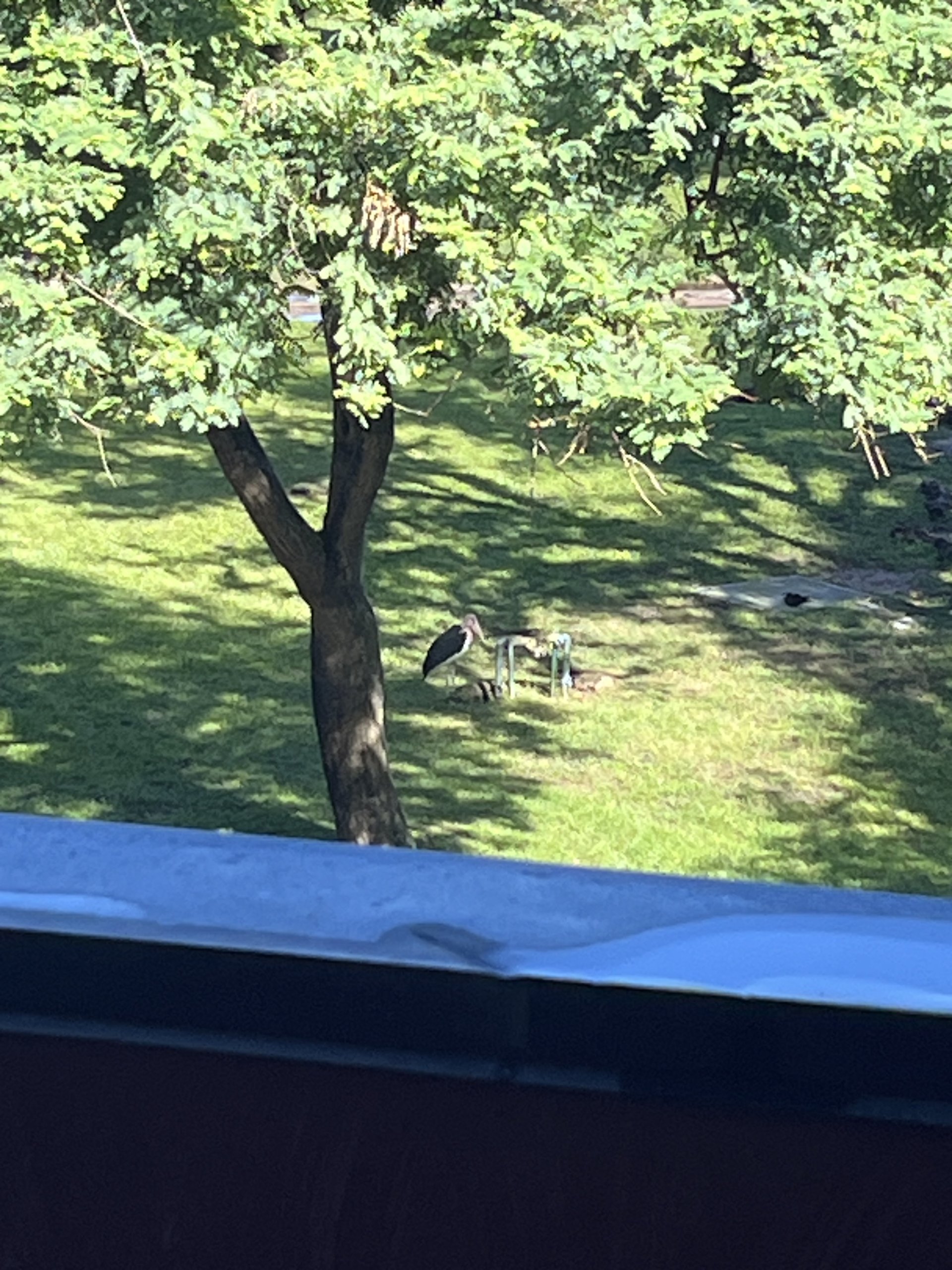 IMG_9093.jpeg