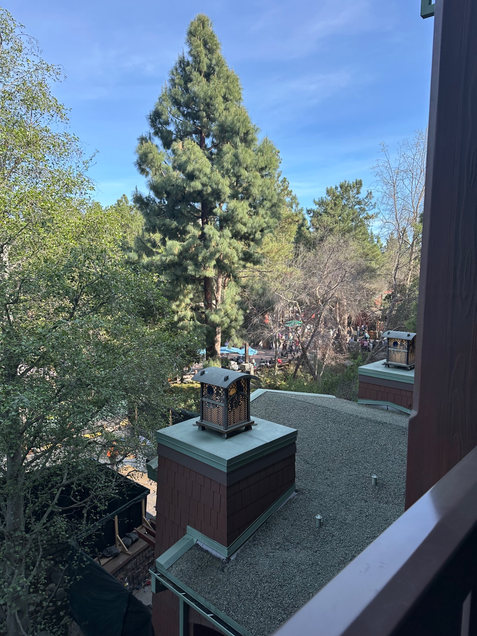 IMG_9172.jpeg