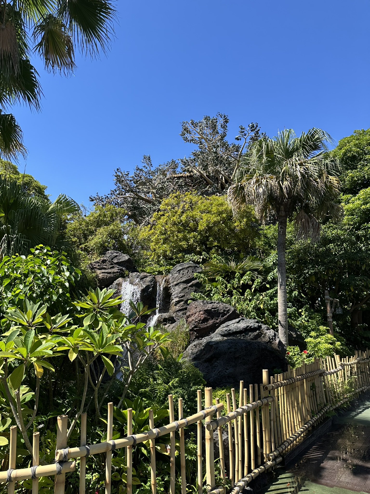 IMG_9242.JPEG