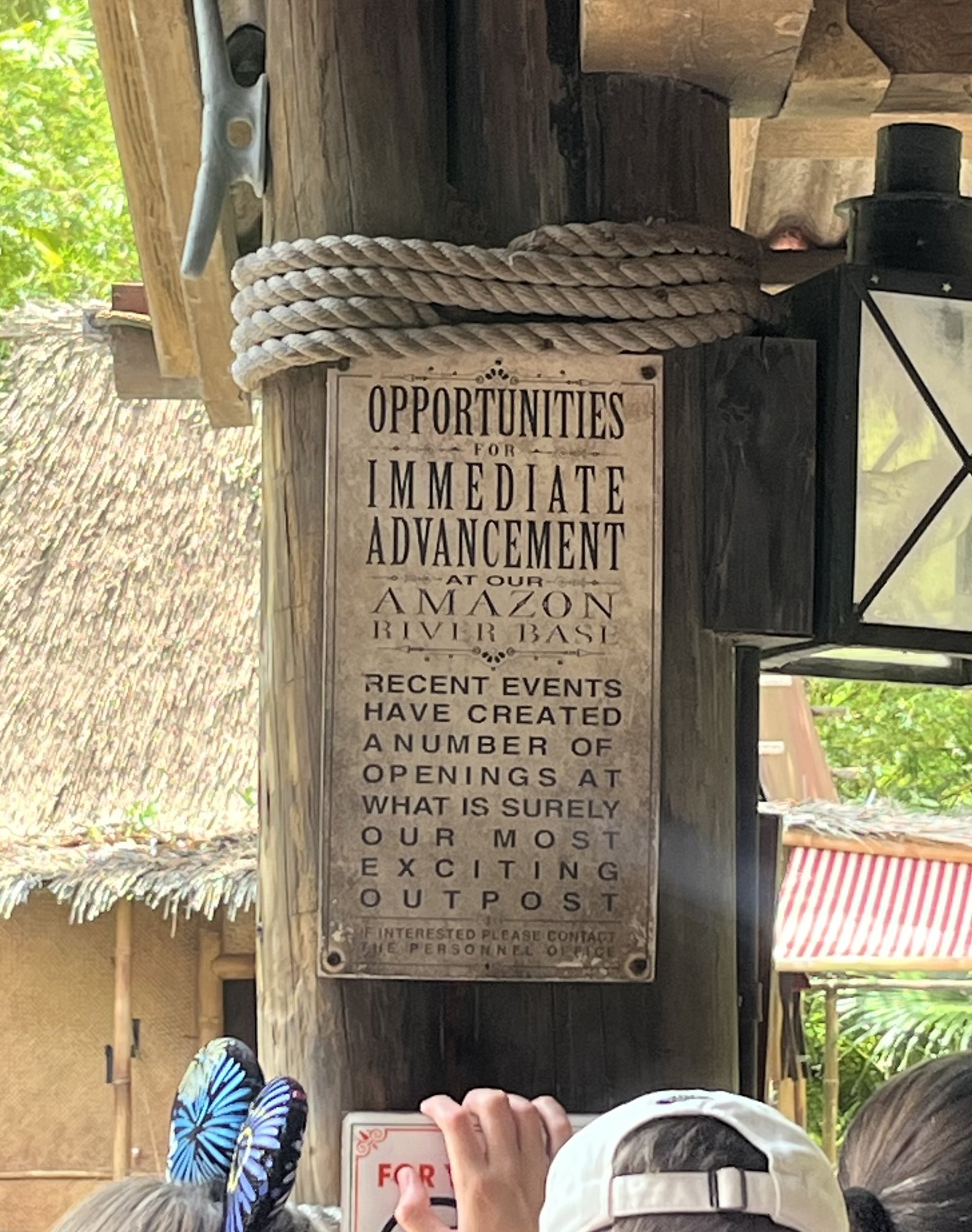 IMG_9312.jpeg