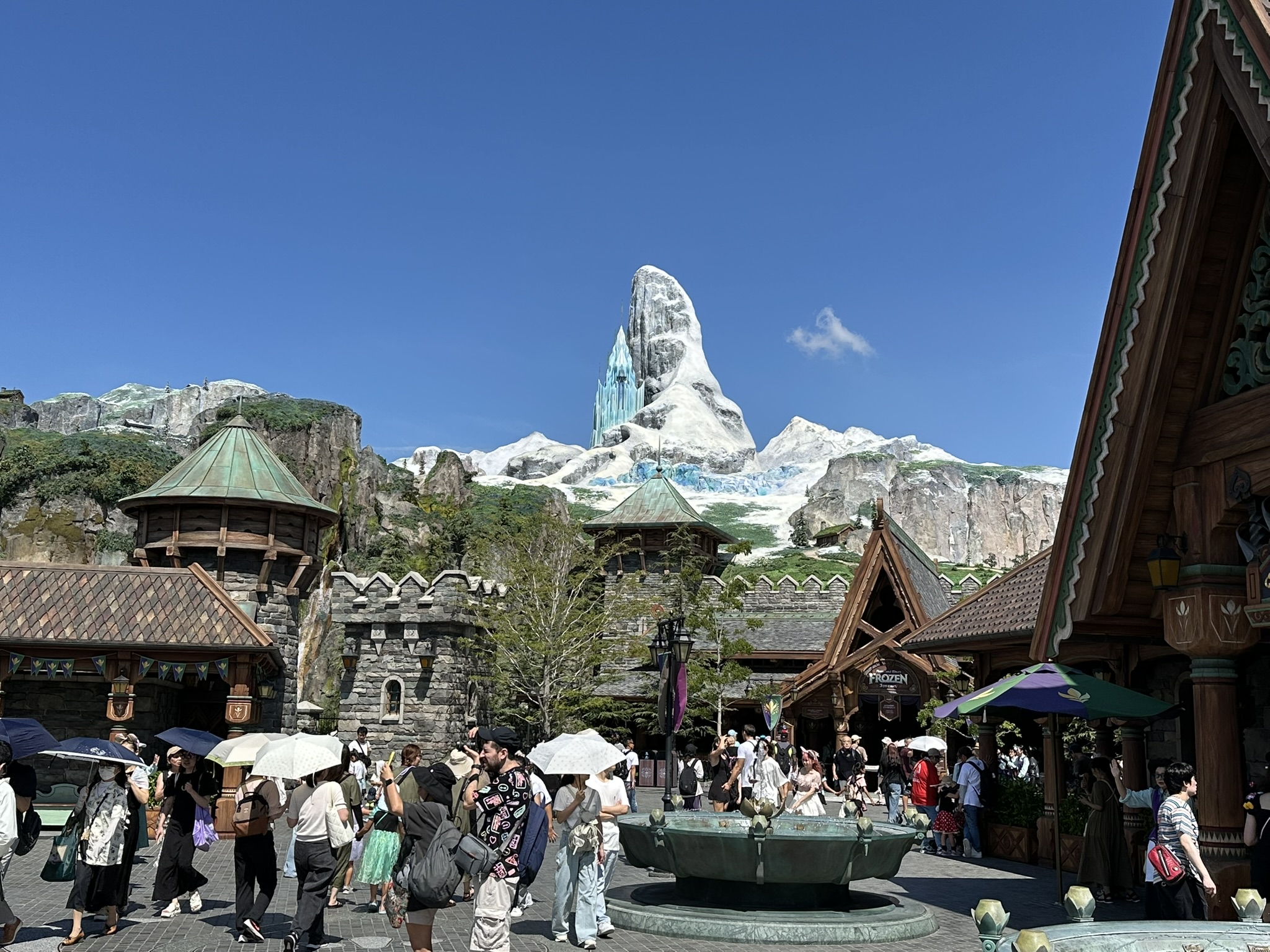 IMG_9321.JPEG