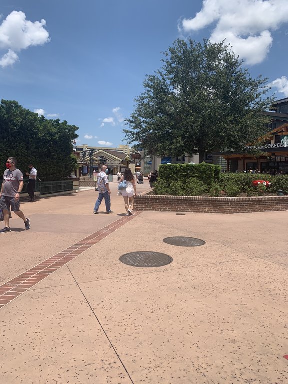 IMG_9324.jpeg