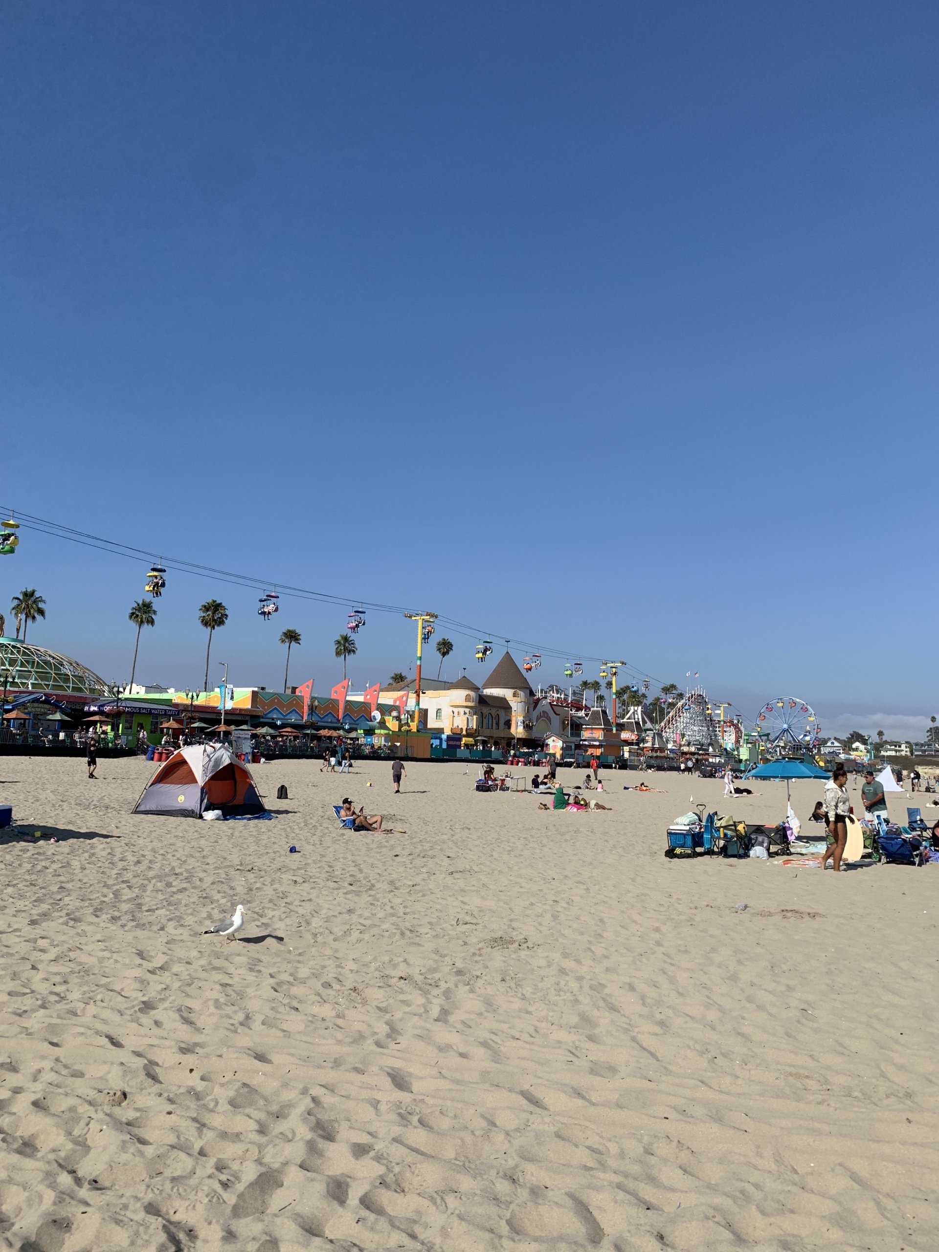 IMG_9518.jpeg