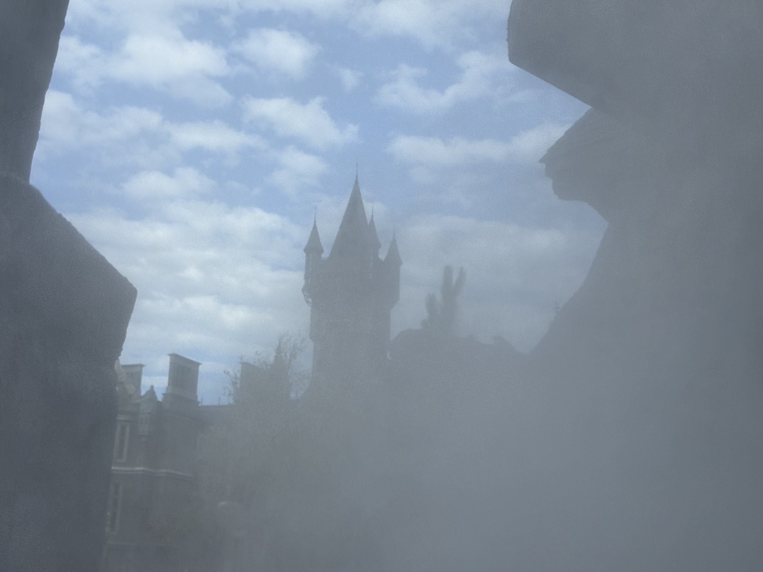 IMG_9624.jpeg