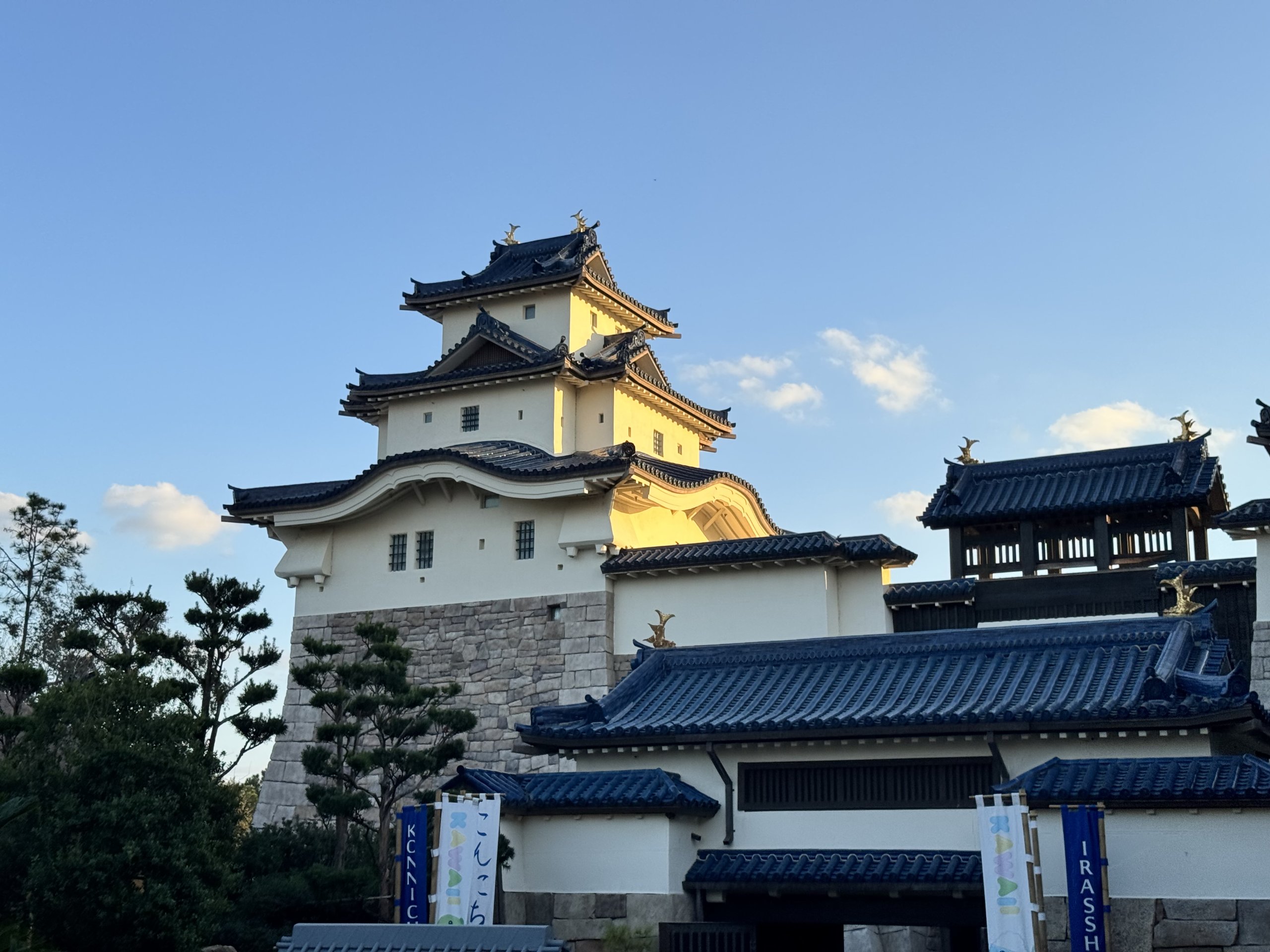 IMG_9664.jpeg