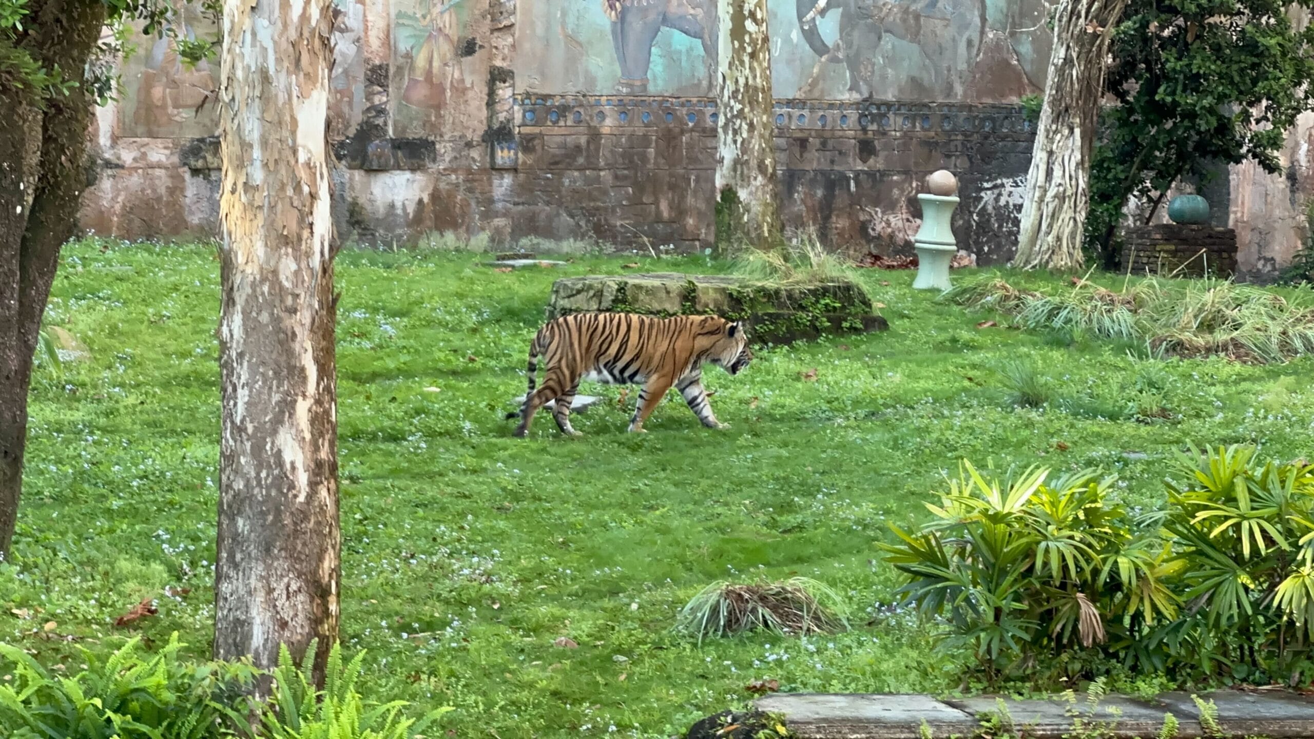 IMG_9882.jpeg